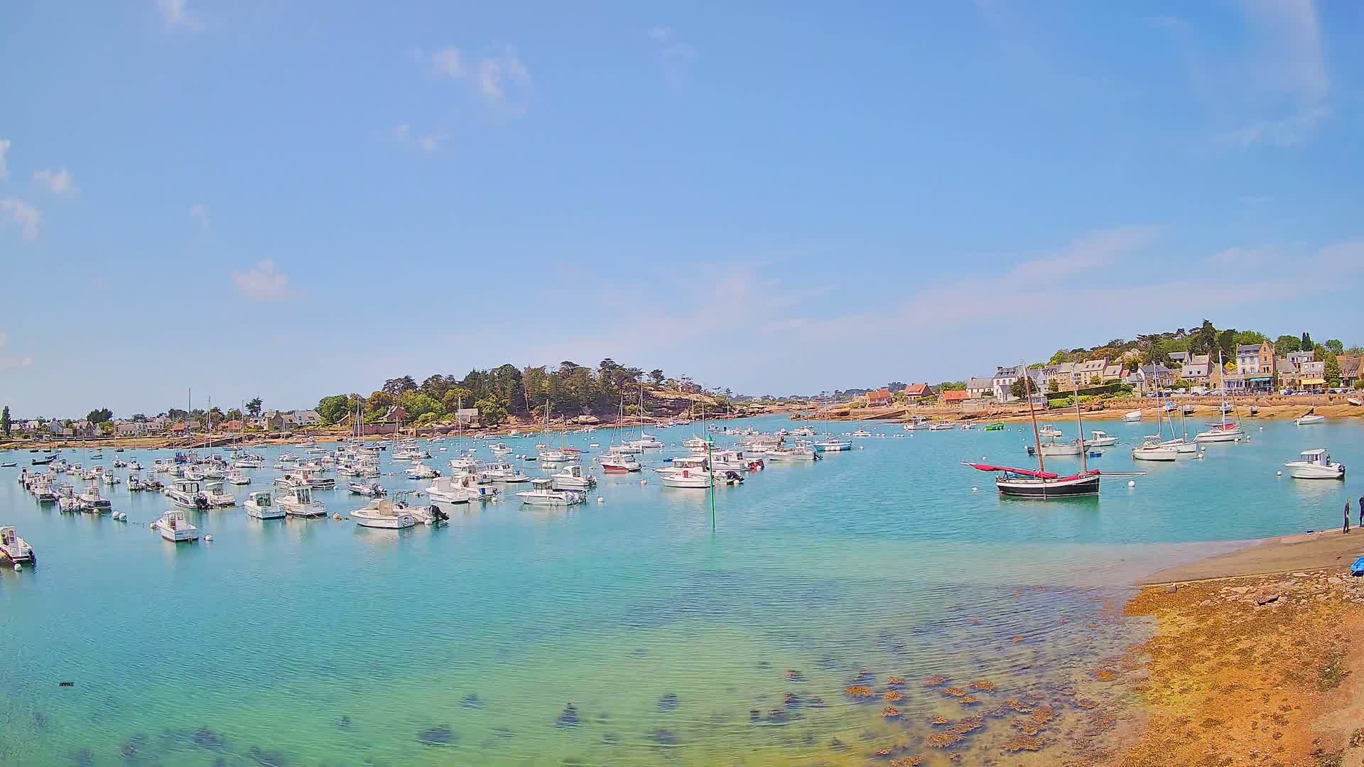 A calm, clear day reveals a harbor filled with numerous small boats, anchored near a shoreline with buildings and lush green vegetation.