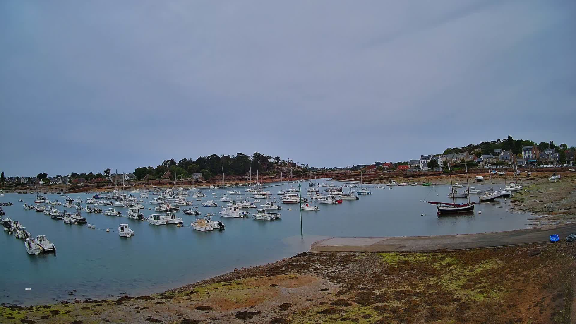 Many small boats are moored in a calm harbor, under an overcast sky, near a small village.