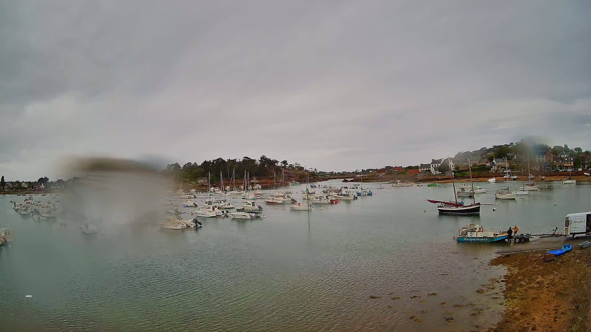 Numerous boats are moored in a calm harbor on an overcast day, with rain obscuring the view.