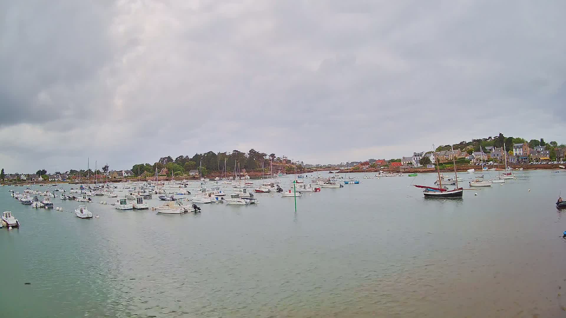 Many small boats are moored in a calm harbor under an overcast sky, with a village visible on the far shore.