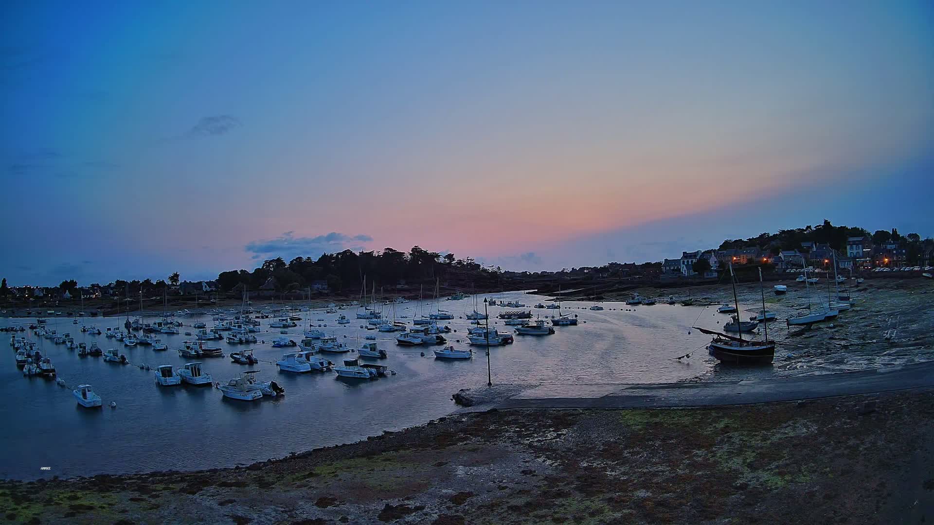 Many small boats are moored in a calm harbor at twilight, under a pink and blue sky, with a small village visible in the background.