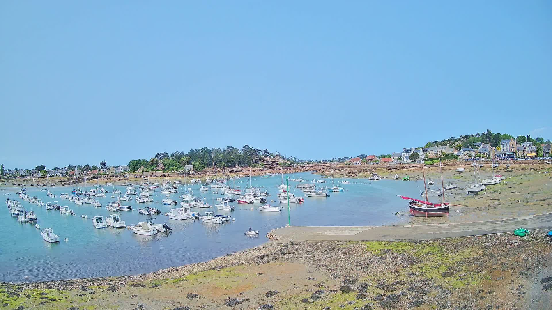 Many small white boats are moored in a calm, clear harbor next to a small village under a bright blue sky.
