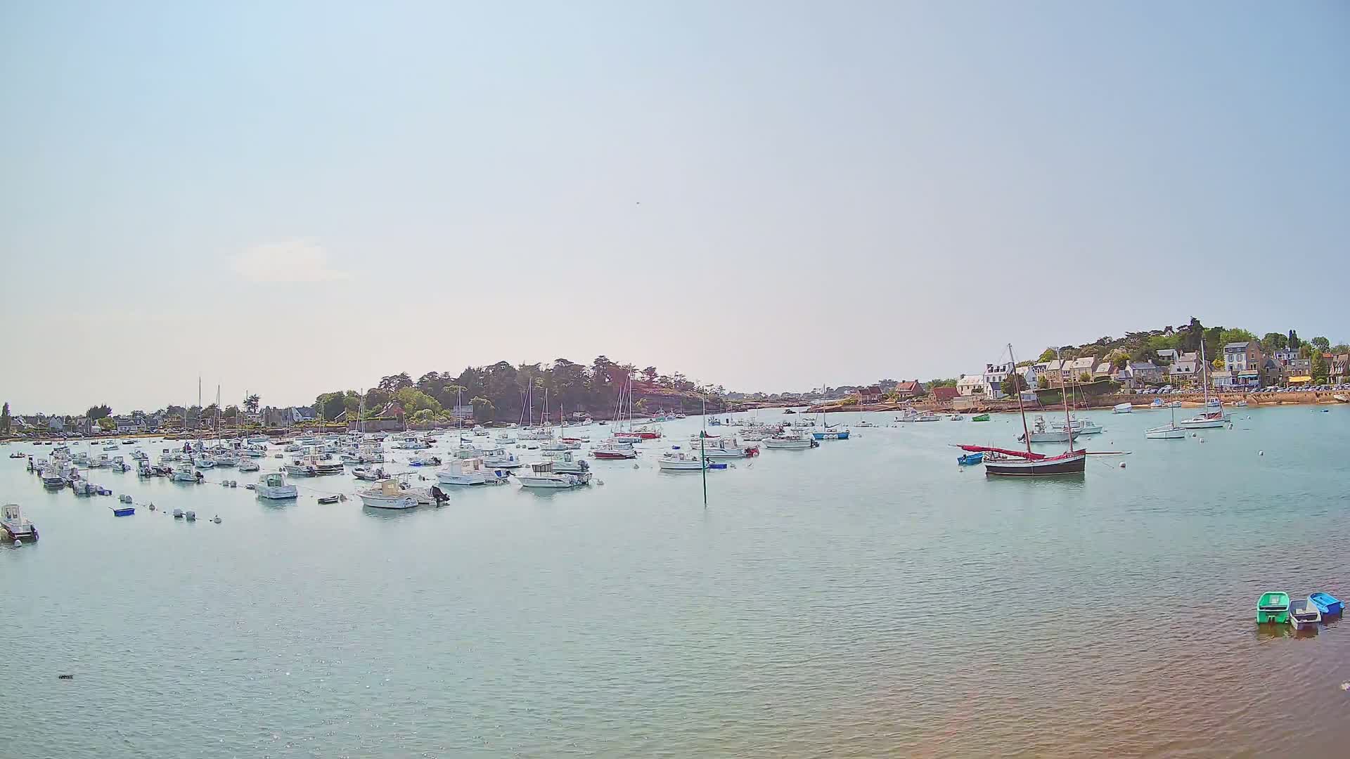 A calm body of water holds numerous small boats and sailboats near a shoreline with houses and trees under a clear, bright sky.
