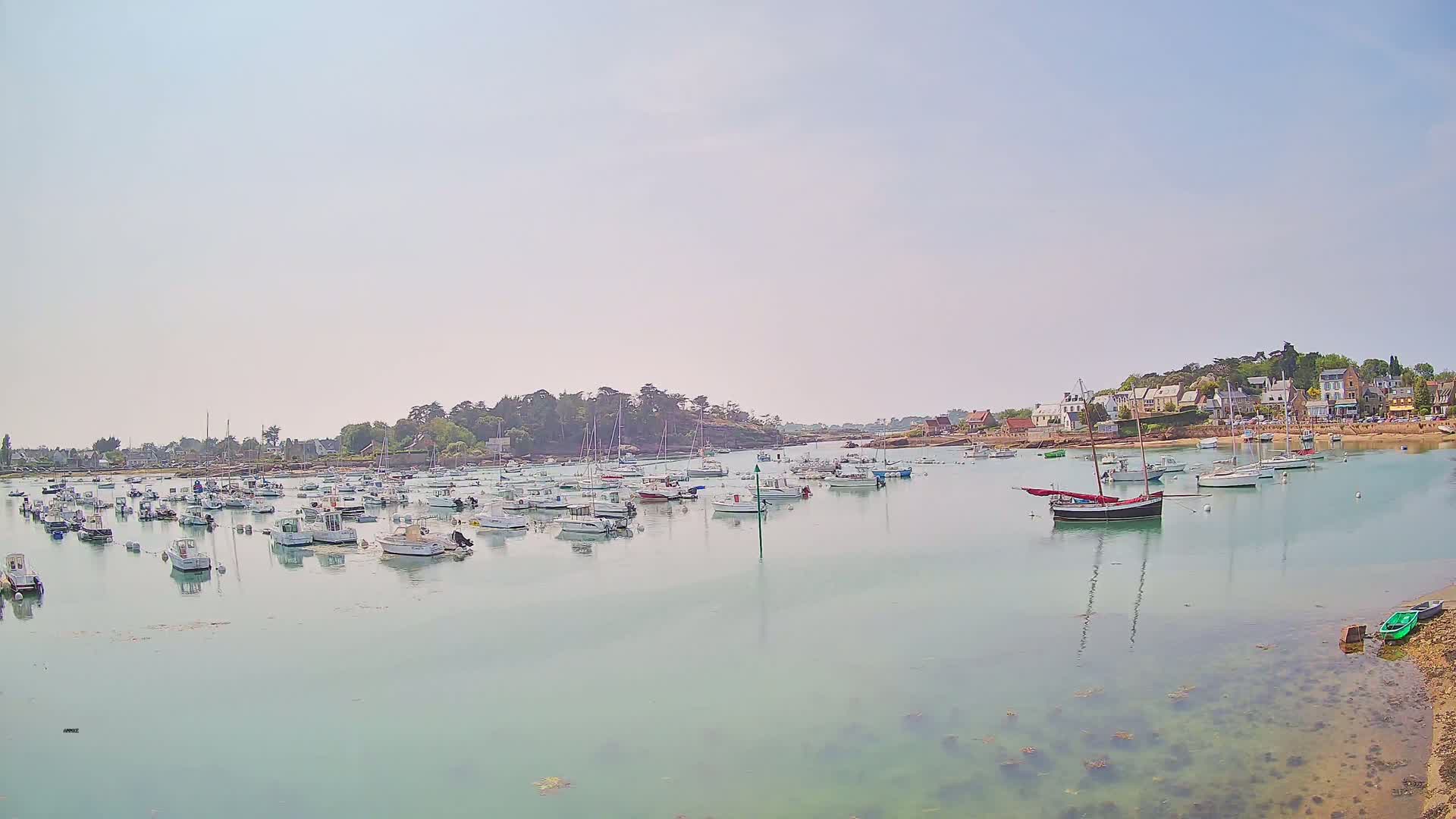 A calm, light-colored bay filled with numerous small boats and a few larger sailboats, backed by a shoreline of houses and trees under a clear, bright sky.