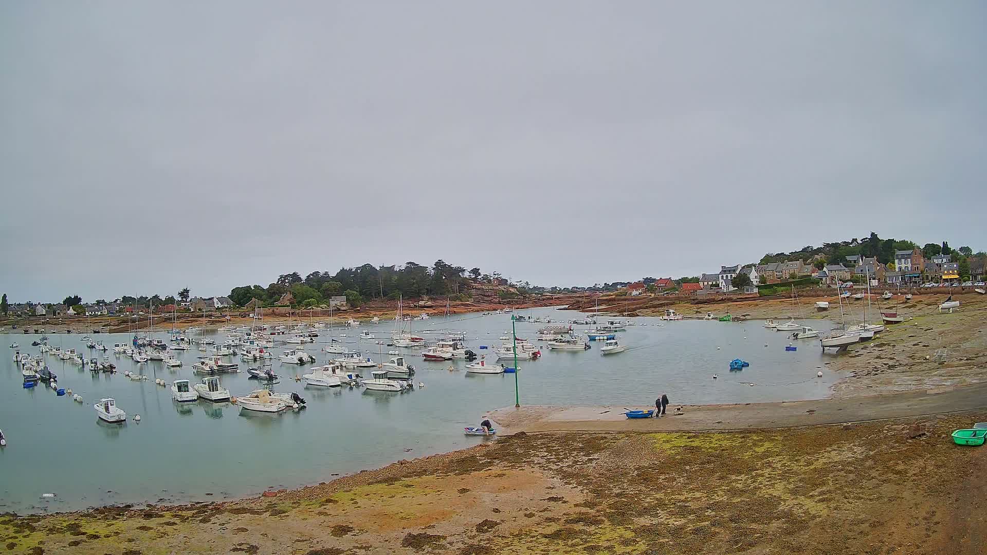 A calm harbor filled with numerous small boats is nestled beside a small village under an overcast sky.