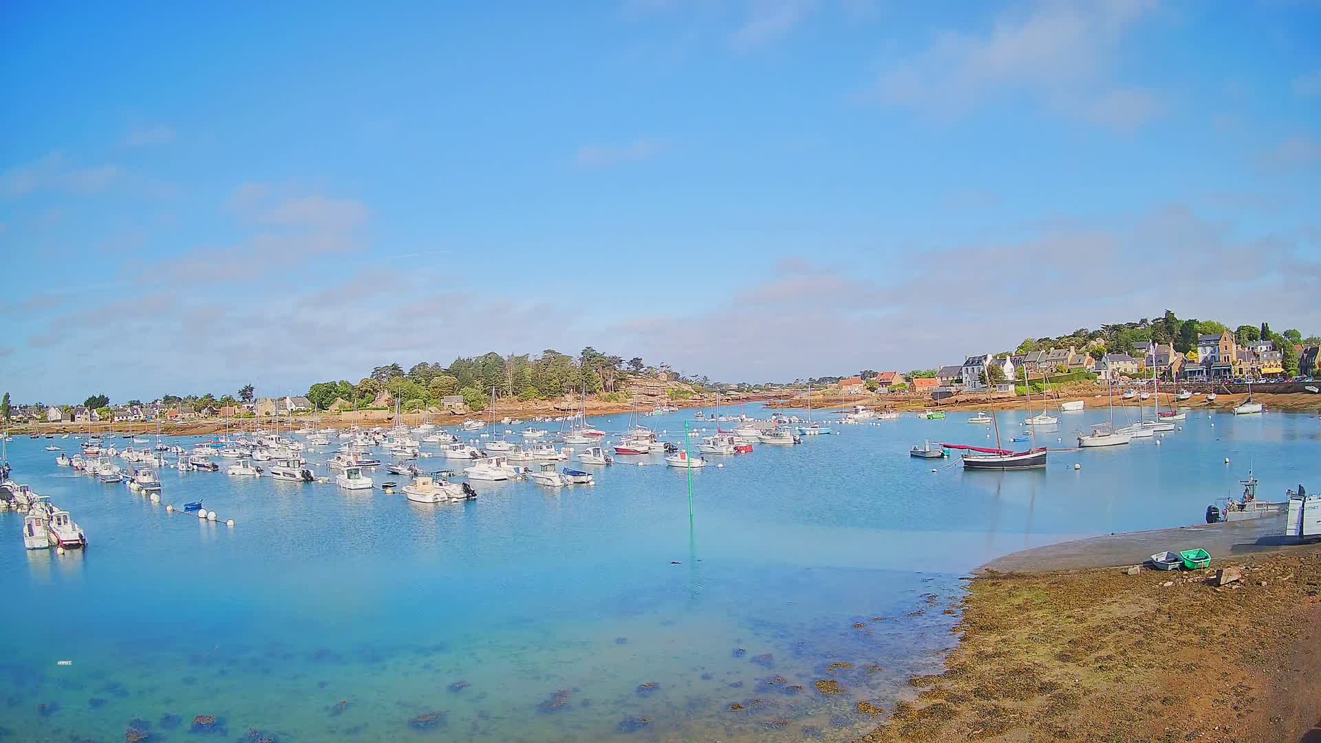 A calm, sunny day shows a harbor filled with numerous boats, nestled beside a shoreline with houses and greenery.