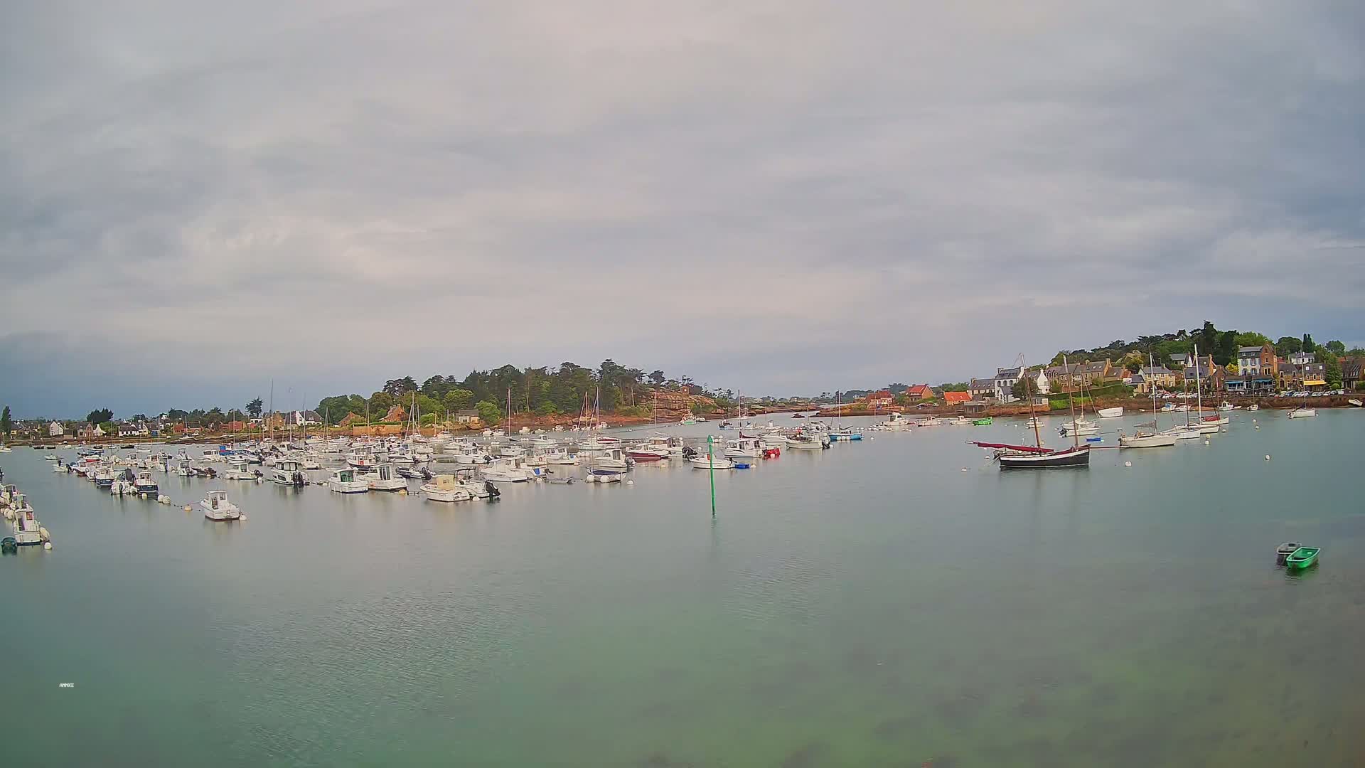 A calm harbor filled with numerous small boats under an overcast sky.