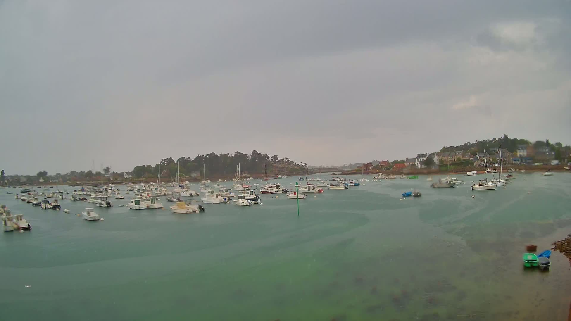 Many small boats are moored in a calm harbor under an overcast sky.