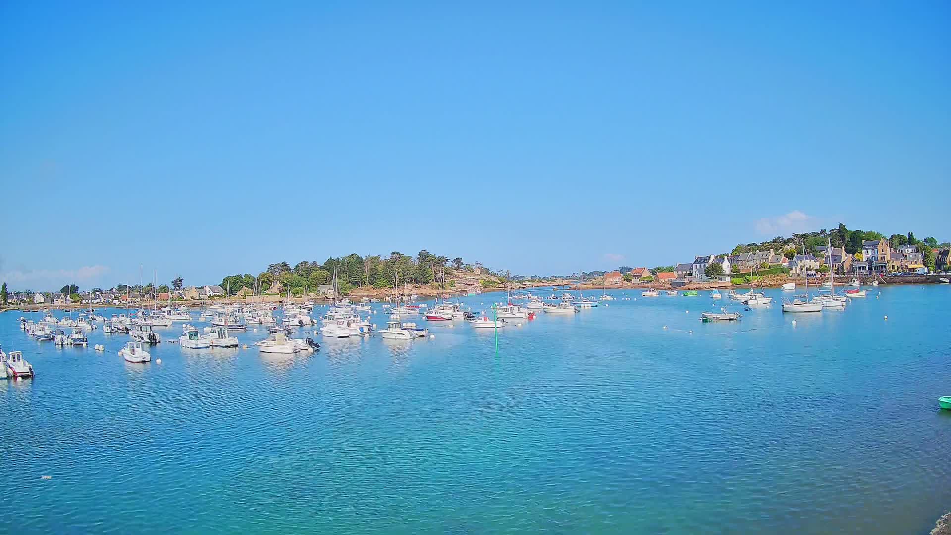 Numerous boats are moored in a calm, clear blue harbor on a sunny day, with a small town and island visible in the background.