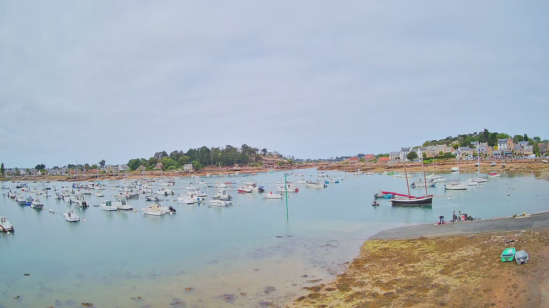 A calm harbor filled with numerous small boats is nestled in a coastal town under a cloudy sky.