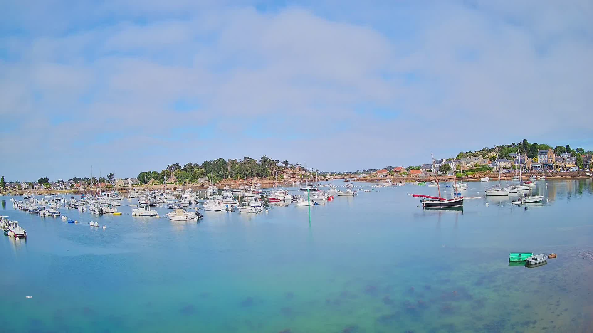 A calm, clear harbor filled with numerous small boats is nestled beside a shoreline with houses and trees under a partly cloudy sky.