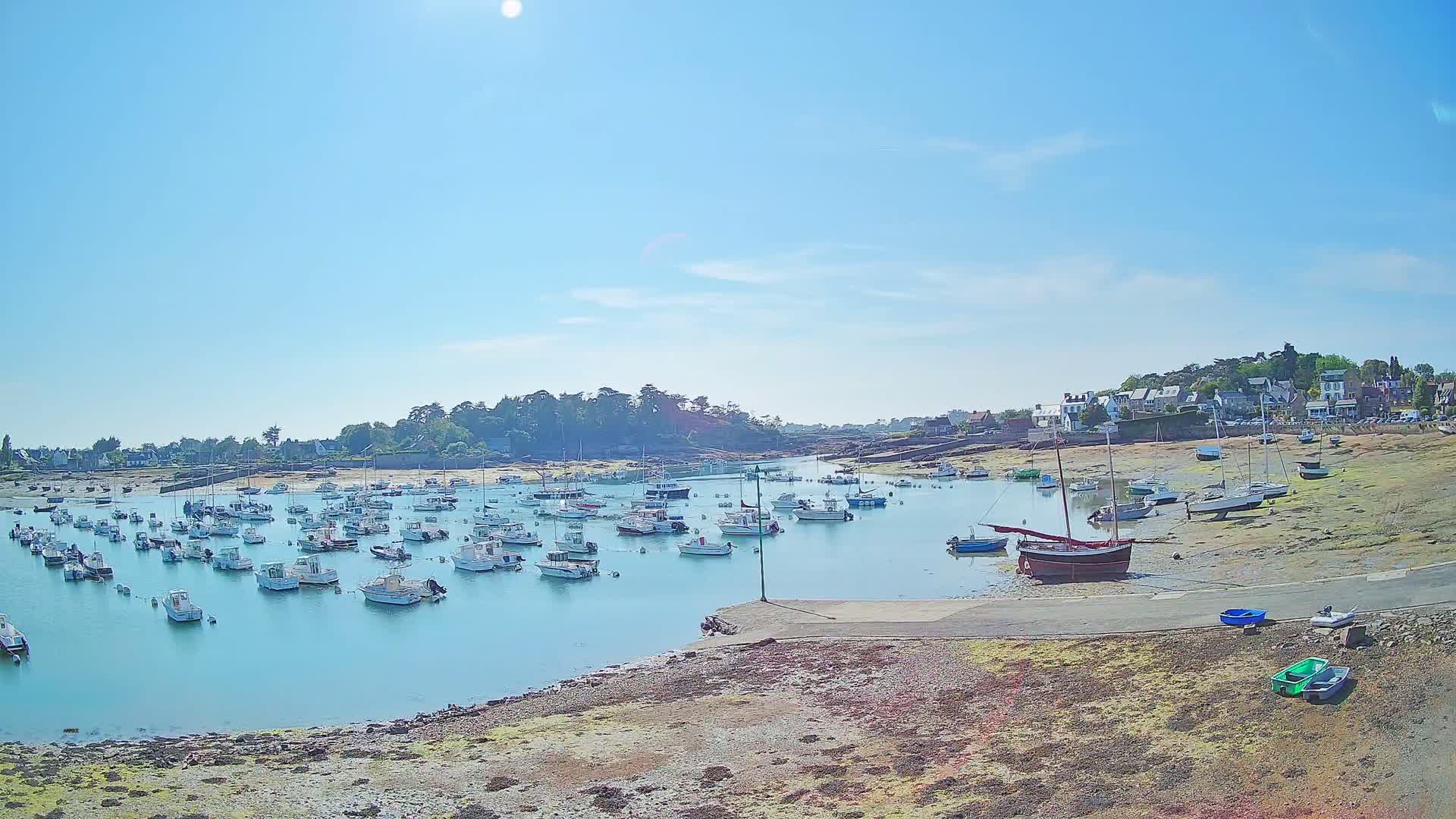 Numerous boats are moored in a calm, shallow harbor on a sunny day, with a small town visible in the background.