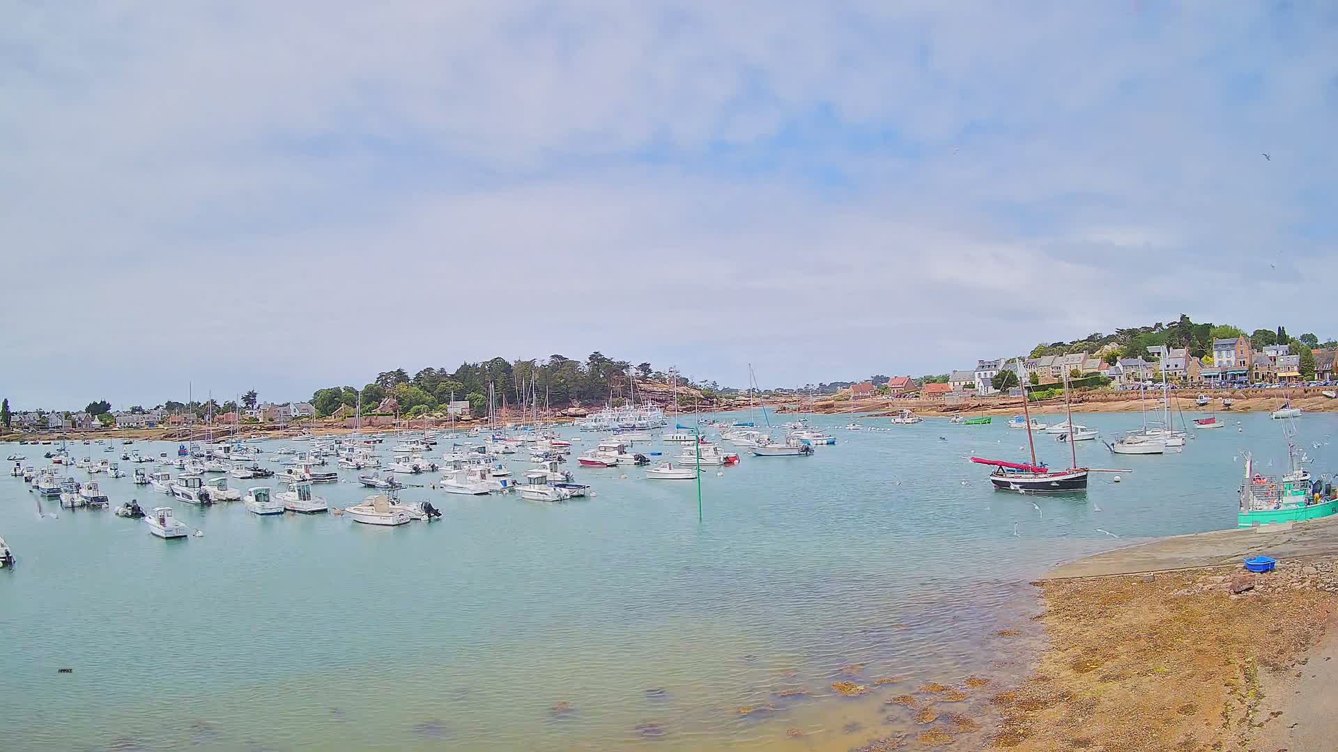 Port de Ploumanac'h Saint Perros-Guirec City View  Live Cam - Lannion, Cotes-d'Armor, Bretagne, France