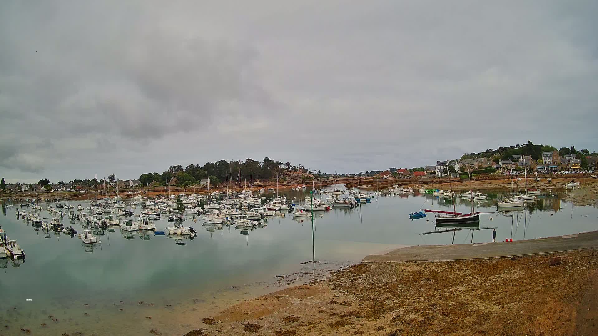 A calm harbor filled with numerous small white boats under a cloudy sky.