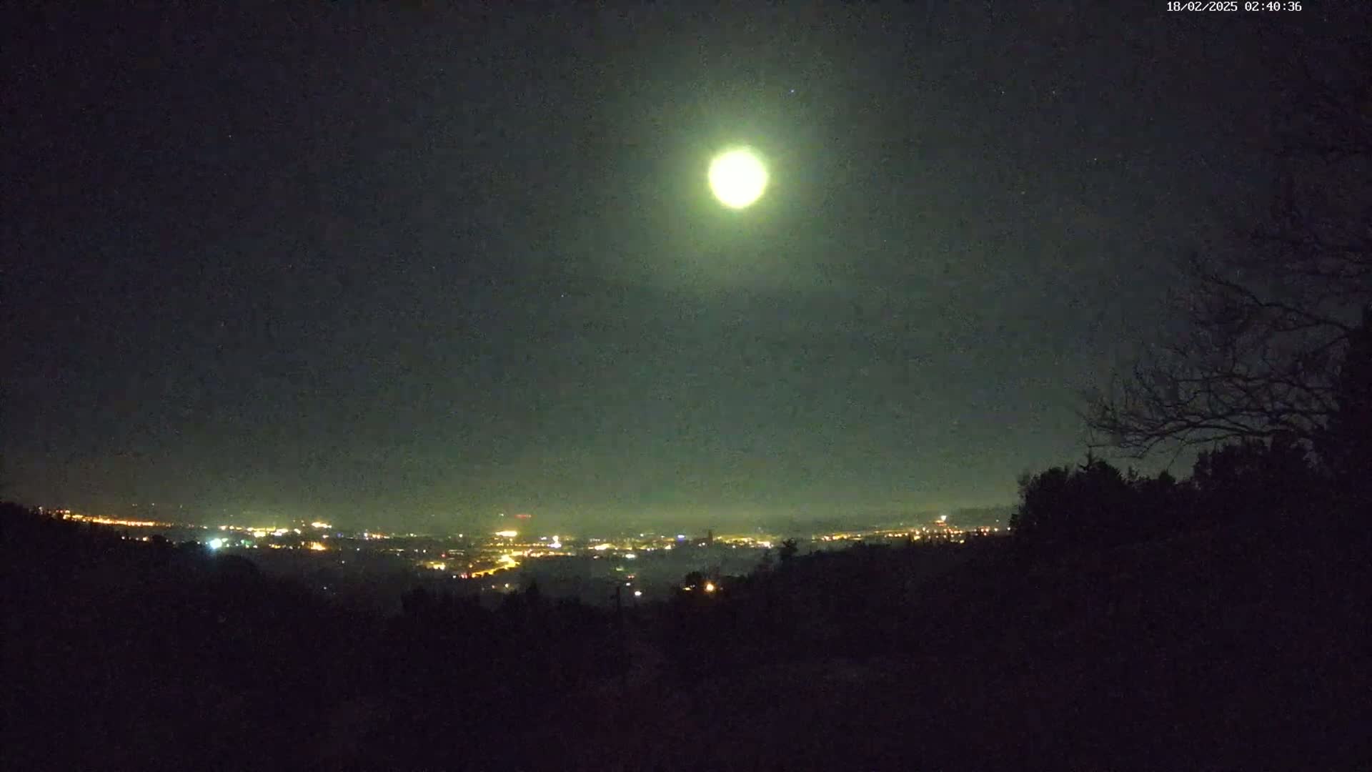 A bright moon illuminates a distant city skyline at night, viewed from a dark, tree-covered hilltop.