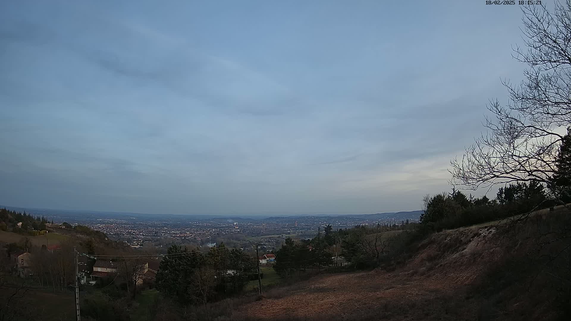 A view of a sprawling city in the distance, under a pale blue, mostly clear sky, is seen from a hillside with sparse, leafless trees and brown earth.