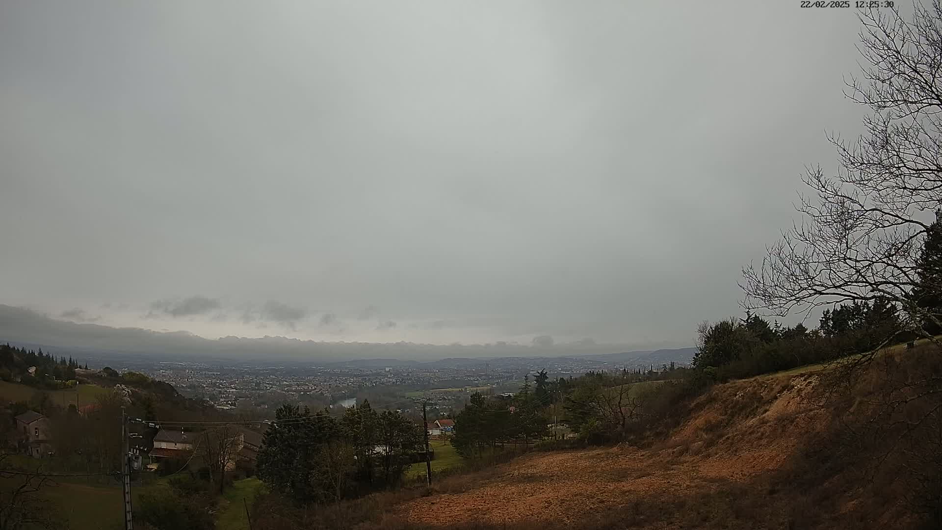 A view of a distant city under an overcast sky, seen from a hillside with bare trees and sparse vegetation.