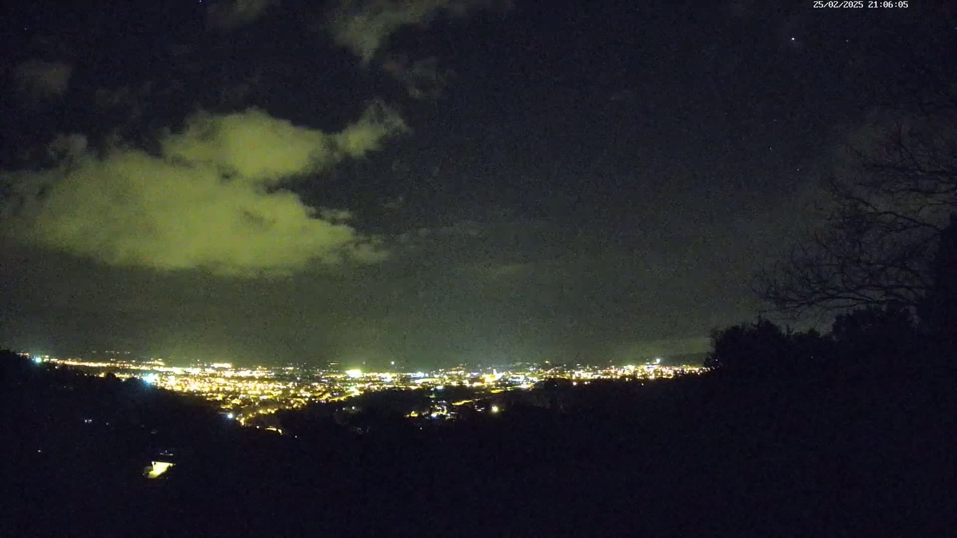 A nighttime view of a city's lights spread across a valley, partially obscured by clouds and silhouetted trees under a partly cloudy night sky.