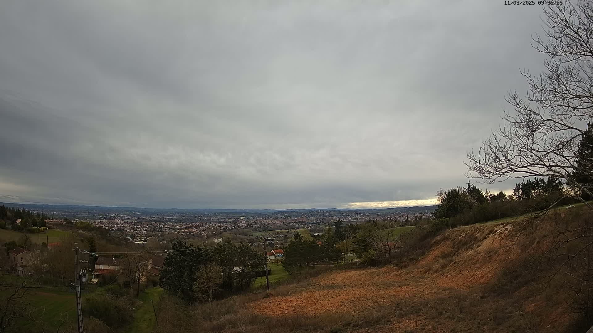 A sprawling city is visible in the distance under an overcast sky, viewed from a hilly, sparsely vegetated area with leafless trees.