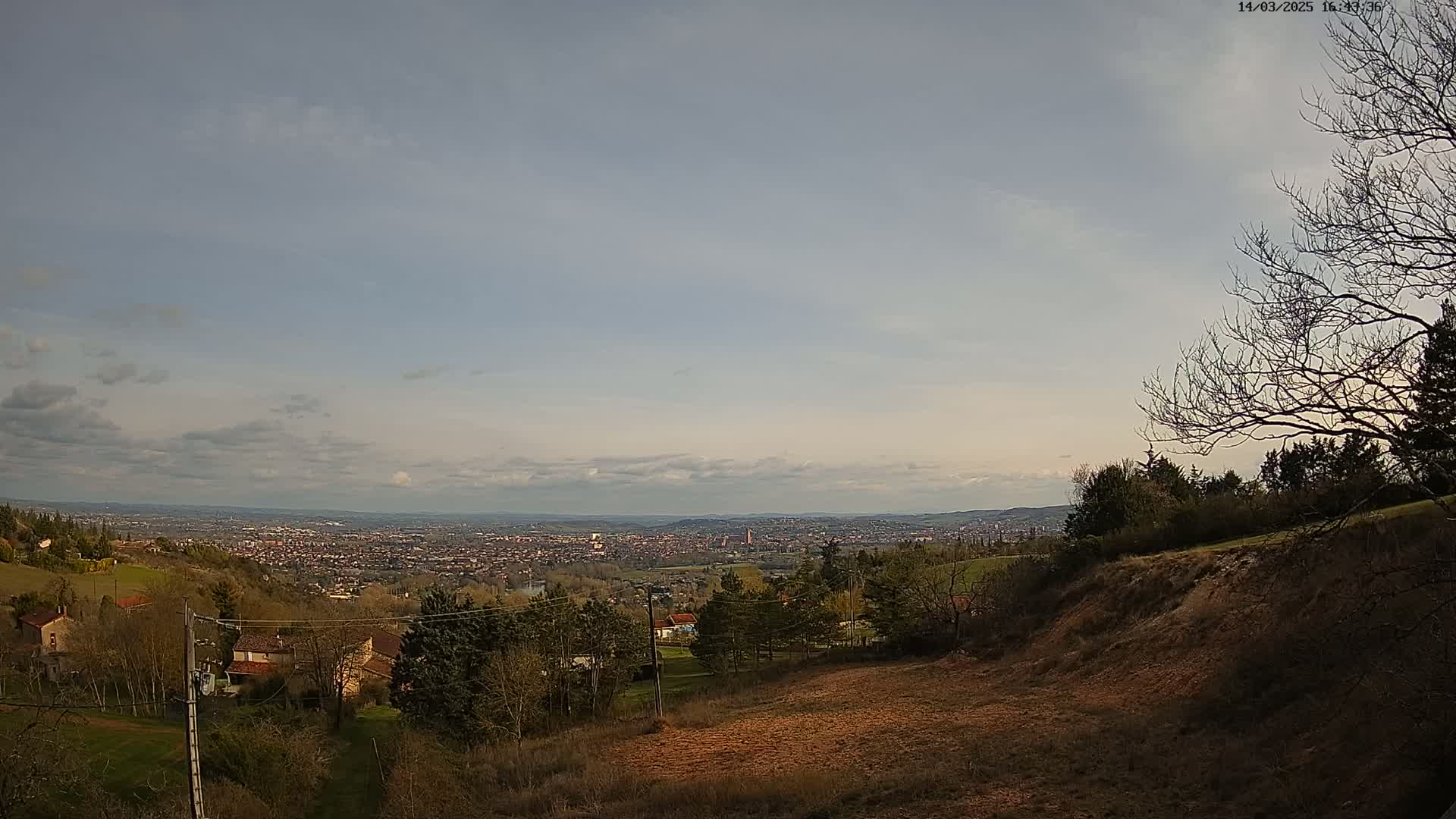 A sprawling city view under a mostly cloudy sky is seen from a hillside with sparse, leafless trees and brown earth.