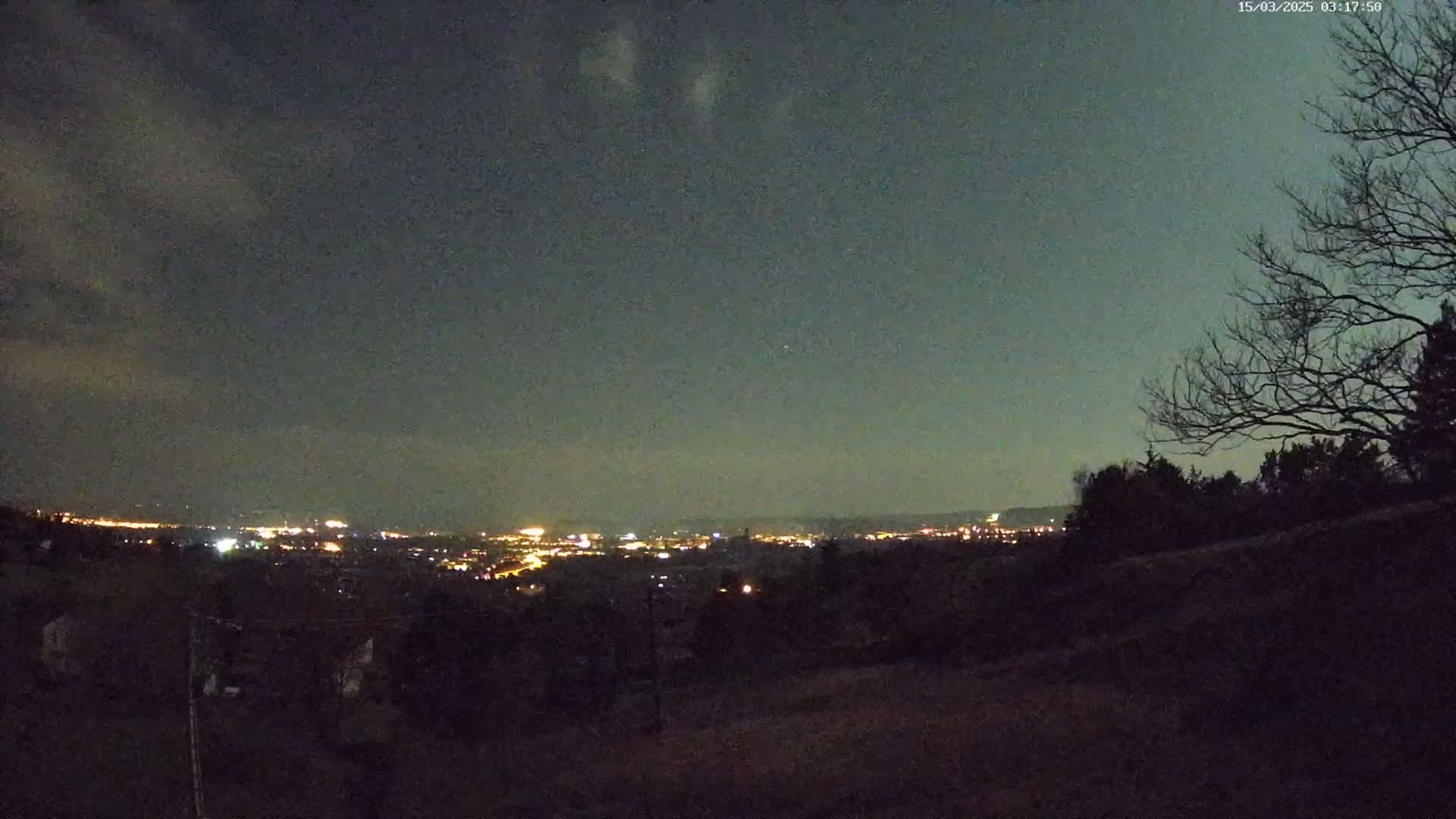 A nighttime view shows a distant city skyline illuminated with lights under a dark, cloudy sky, with silhouetted trees and shrubs in the foreground.