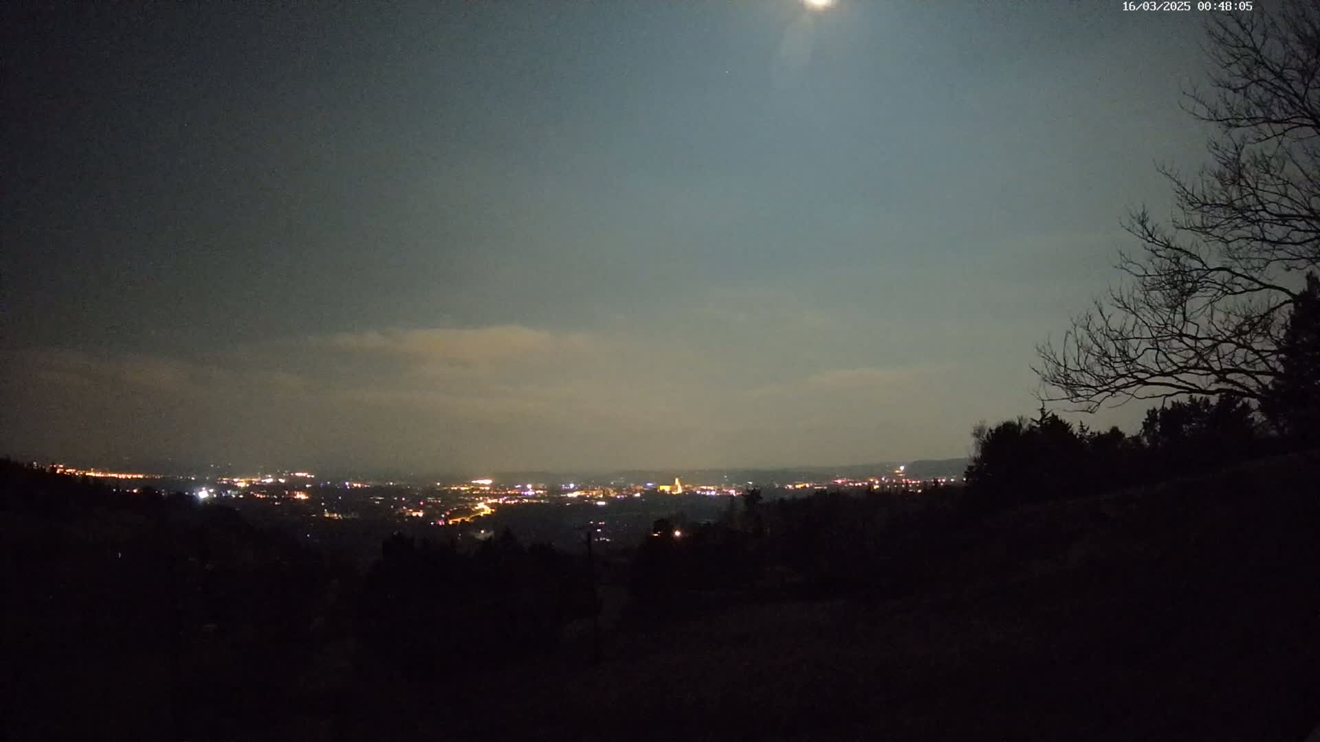 A nighttime view of a city's lights spread across a valley, seen from a hilltop under a mostly clear, moonlit sky.