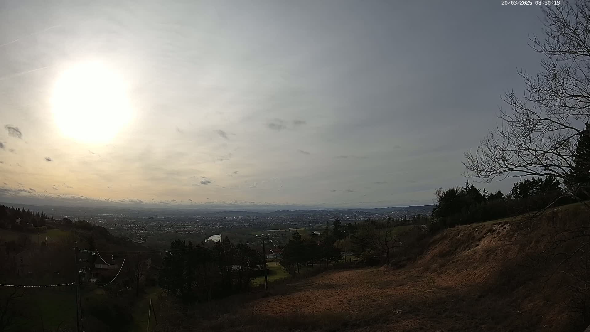 A partly cloudy day reveals a panoramic view of a distant city from a hilltop, where bare trees and brown earth are visible in the foreground.