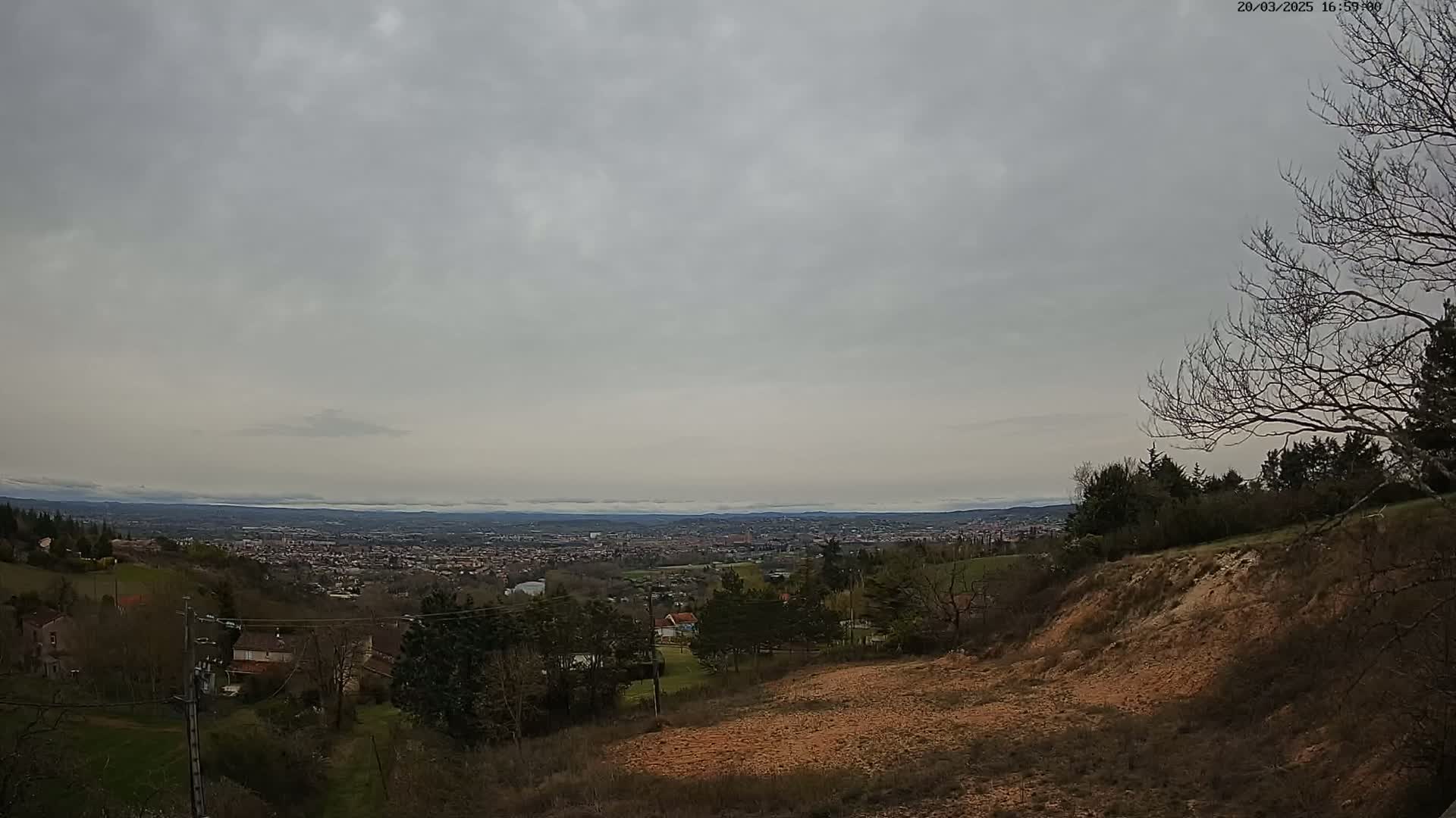 A sprawling city lies in the distance under an overcast sky, viewed from a hillside with sparse, leafless trees and exposed earth.