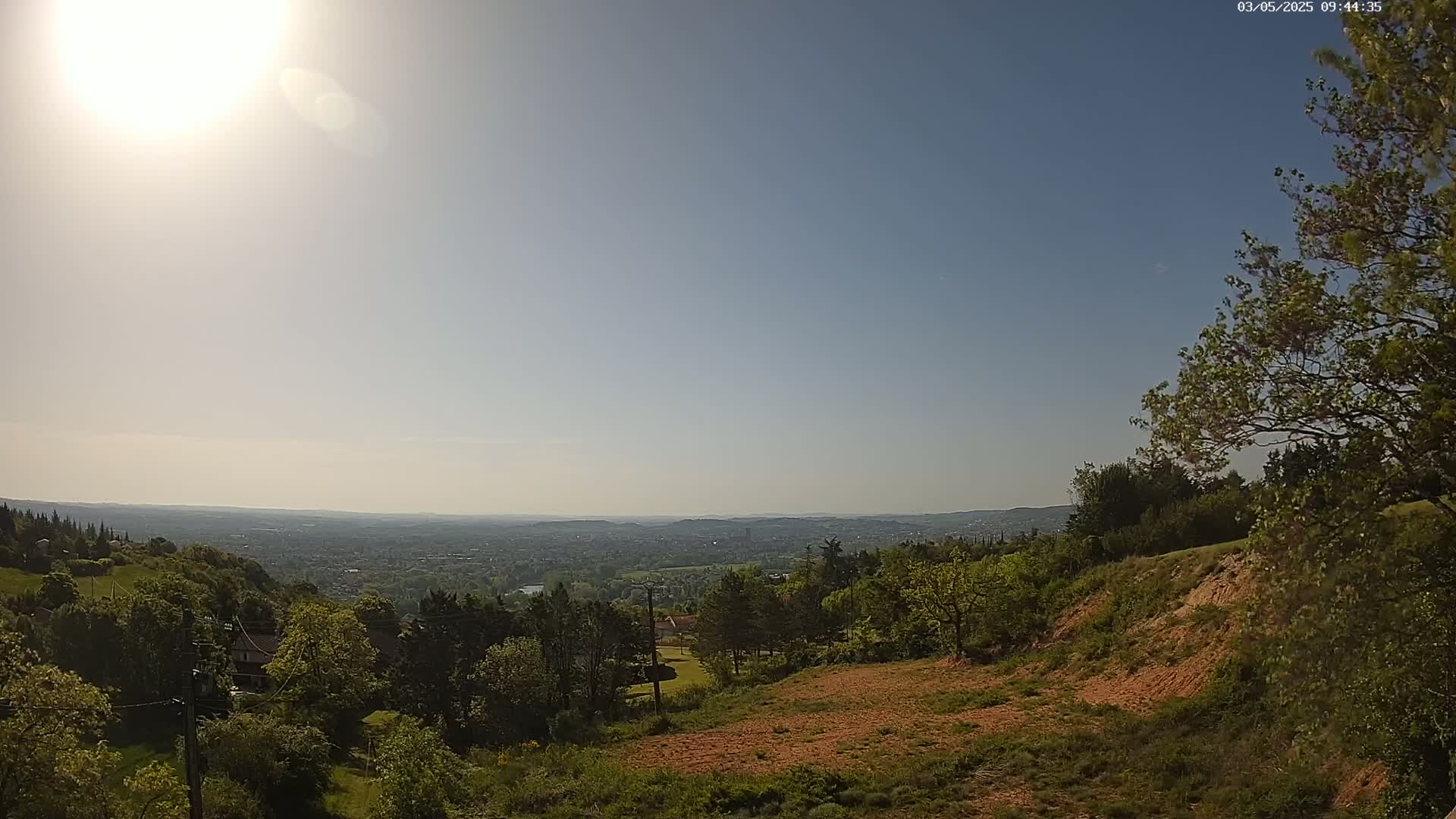 A sunny, expansive view of a city in the distance, seen from a hillside covered in lush green trees and shrubs.