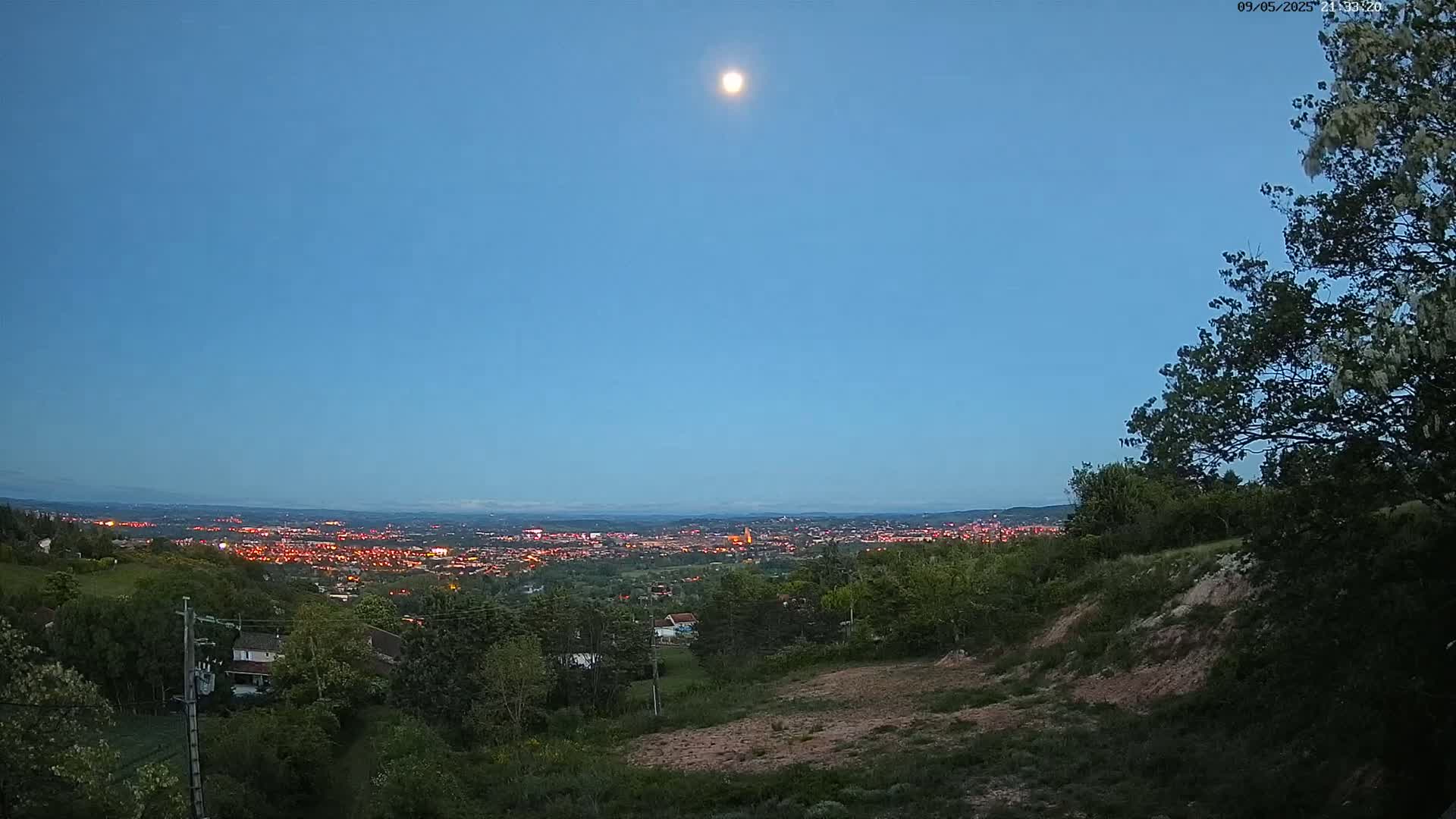 A bright moon illuminates a city glowing with lights in the distance, viewed from a hilltop covered in green trees and shrubs under a twilight sky.