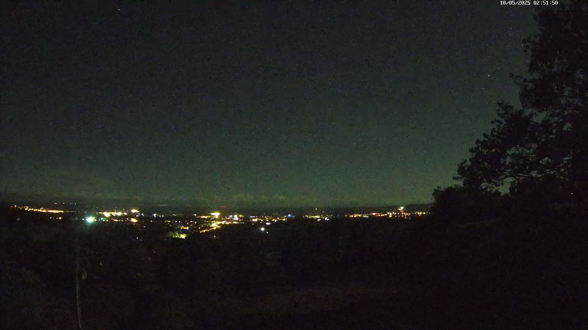 A nighttime view shows a distant city illuminated by lights under a dark, starry sky, partially obscured by a silhouetted tree in the foreground.