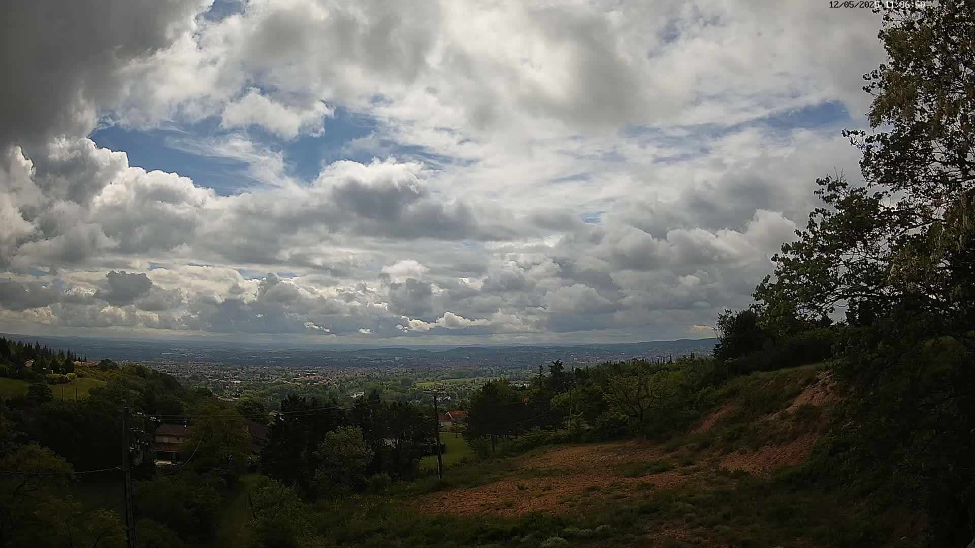 A sprawling city is visible in the distance beneath a partly cloudy sky, from a high vantage point overlooking a hillside covered in lush green trees.