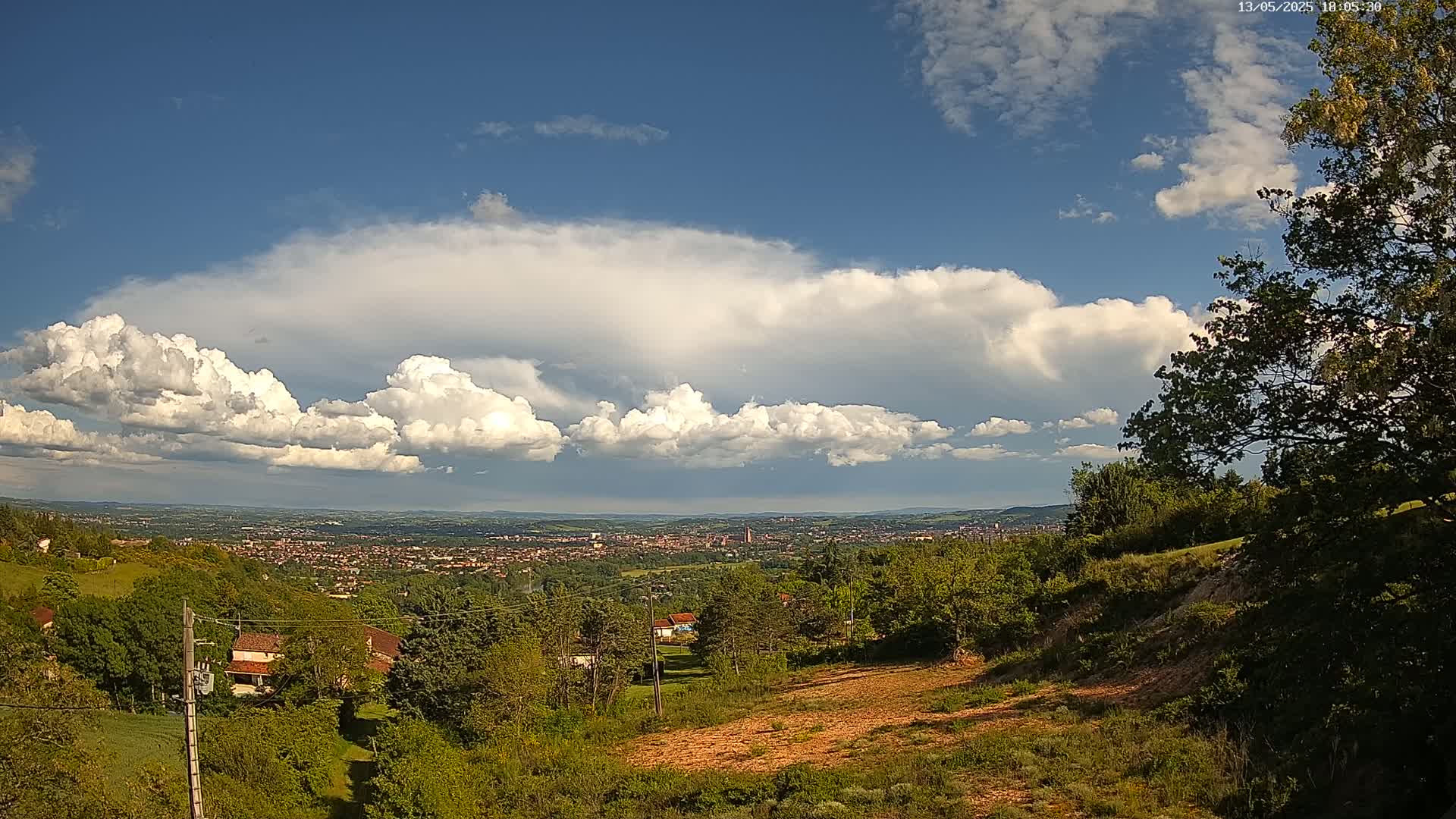 A sprawling city is visible in the distance below a partly cloudy sky, viewed from a verdant hillside with trees and exposed earth.