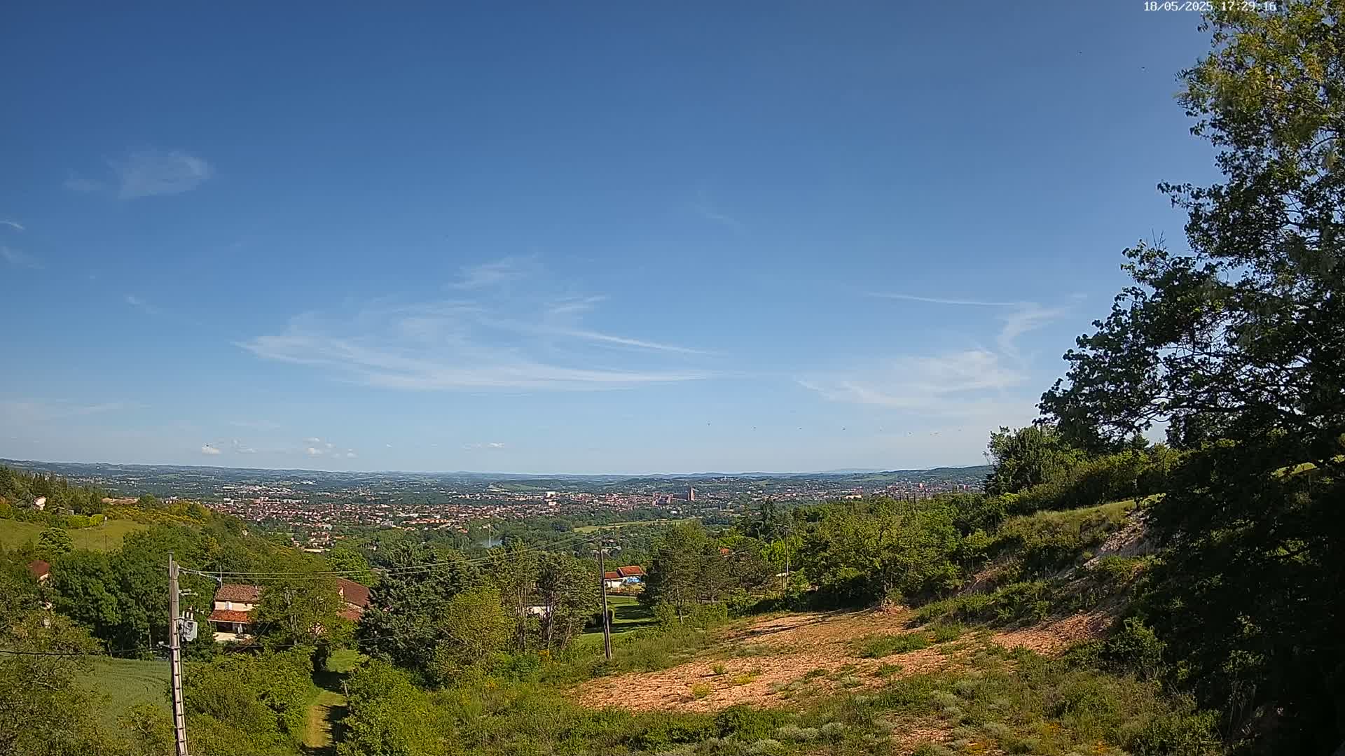 A sprawling city view under a clear blue sky with a few wispy clouds, seen from a hillside dotted with lush green trees and shrubs.