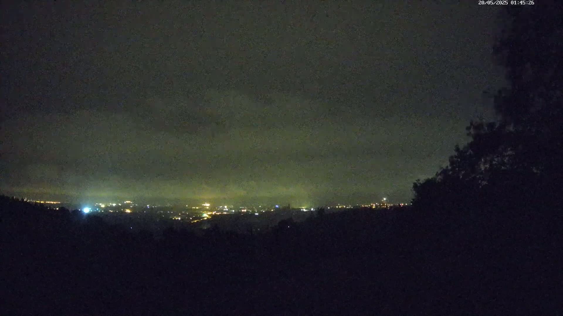 A nighttime view shows a distant city's lights under a dark, cloudy sky, partially obscured by a silhouetted foreground of trees.