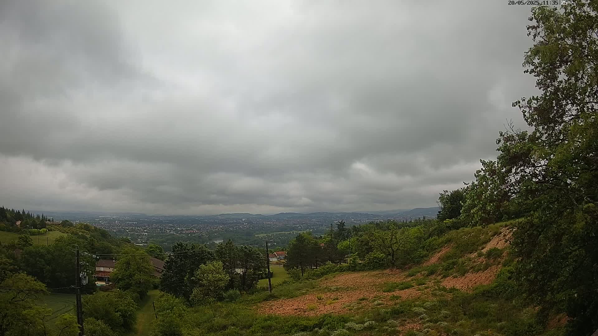 A hilly landscape with overcast skies shows a distant city view, partially obscured by trees and brush.