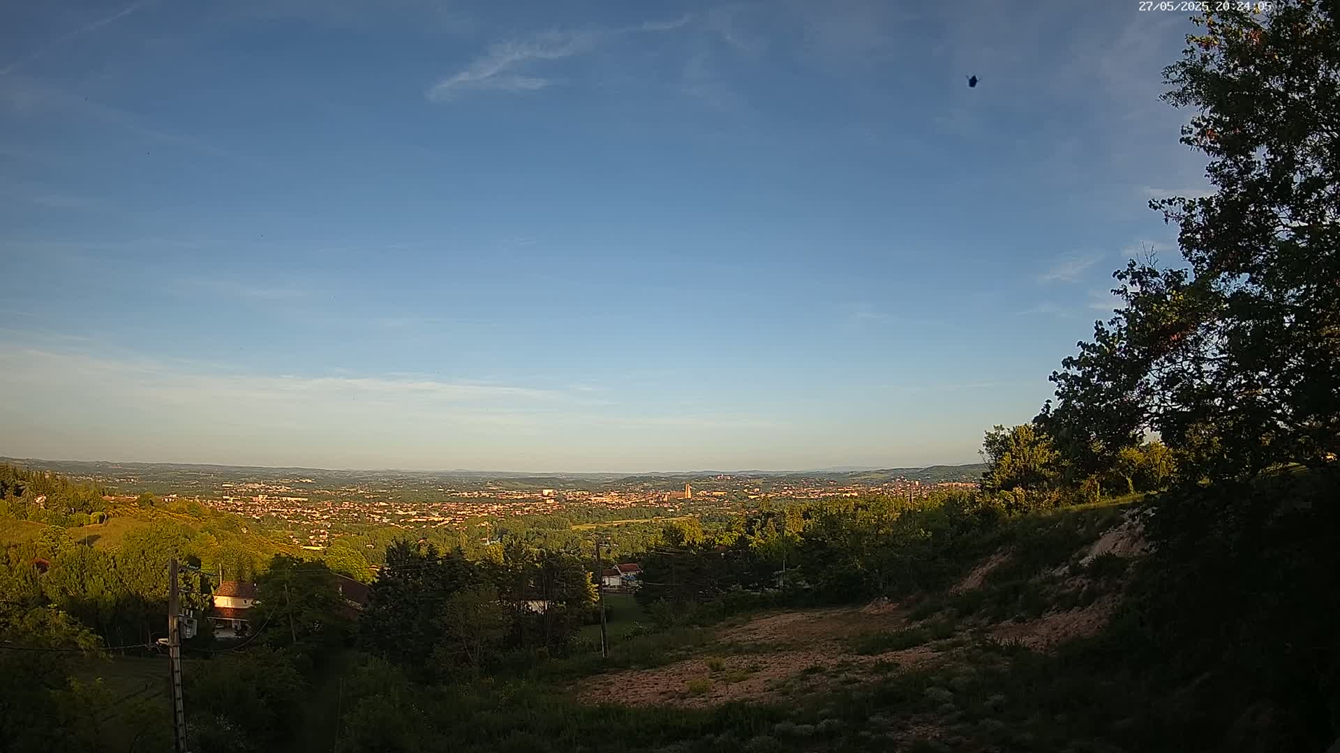 A sprawling city is visible in the distance under a clear blue sky, viewed from a hilltop covered in lush green vegetation.