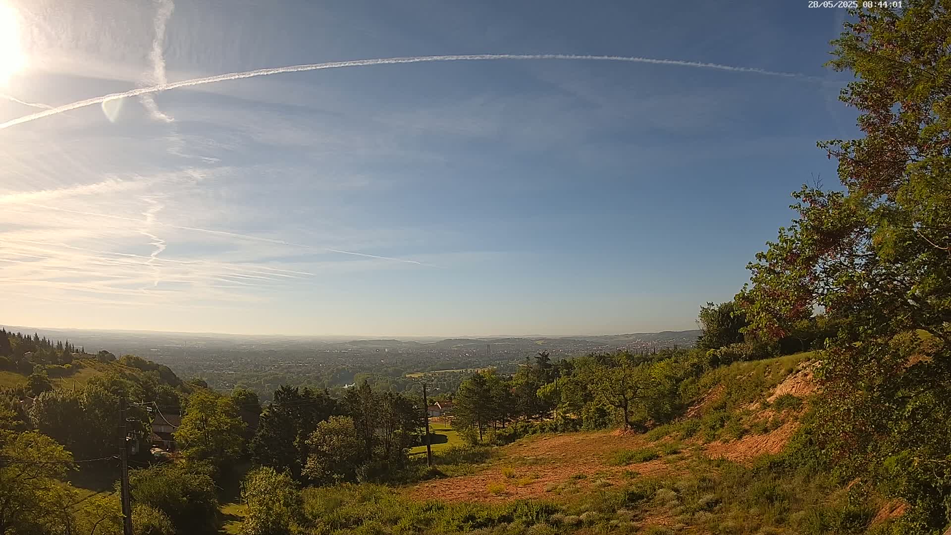 A sunny, partly cloudy day reveals a panoramic view of a vast city spread out below a tree-covered hillside.