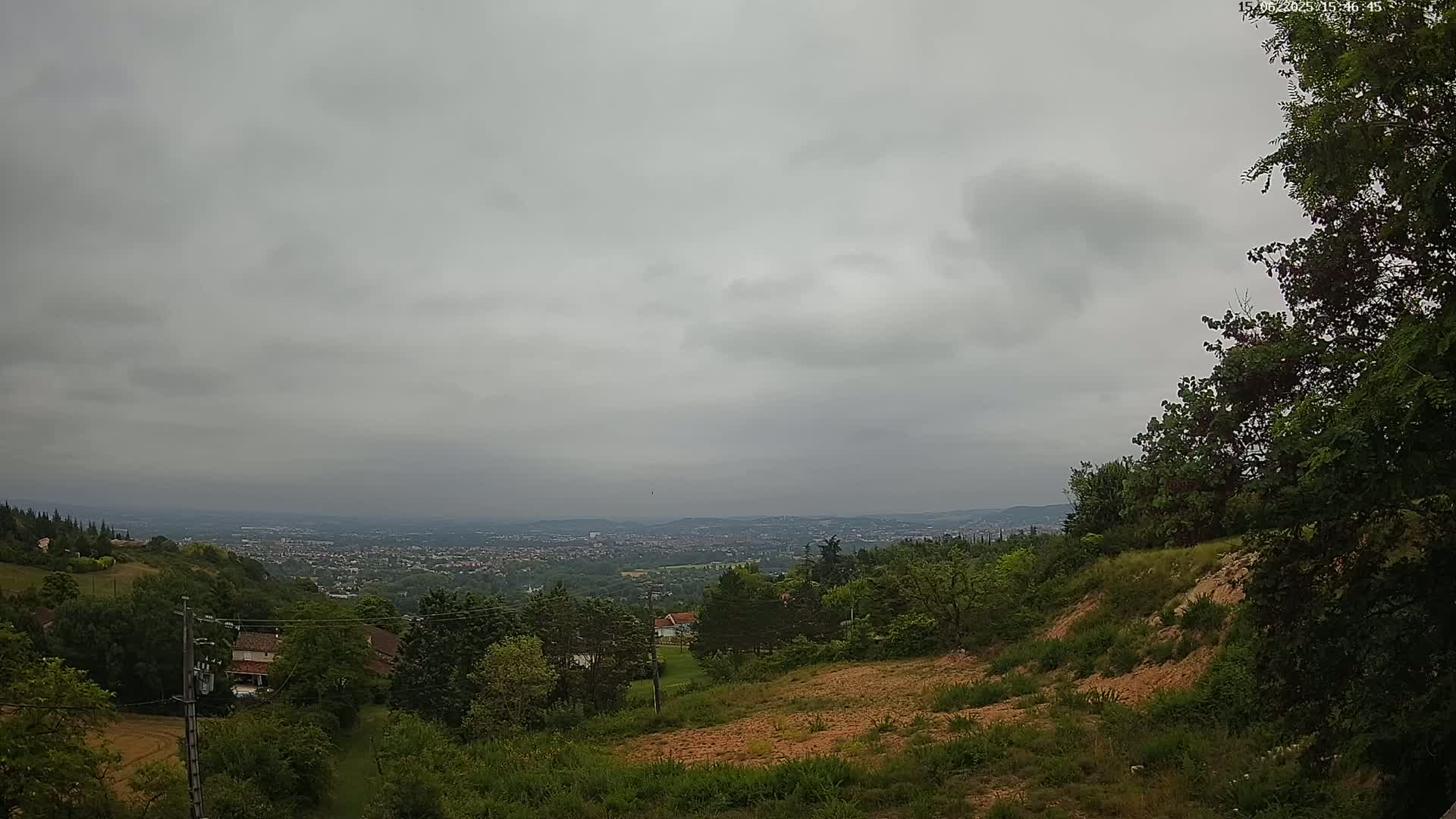 A sprawling view of a city in the distance, partially obscured by overcast skies, is seen from a hillside covered in green vegetation and sparsely wooded areas.