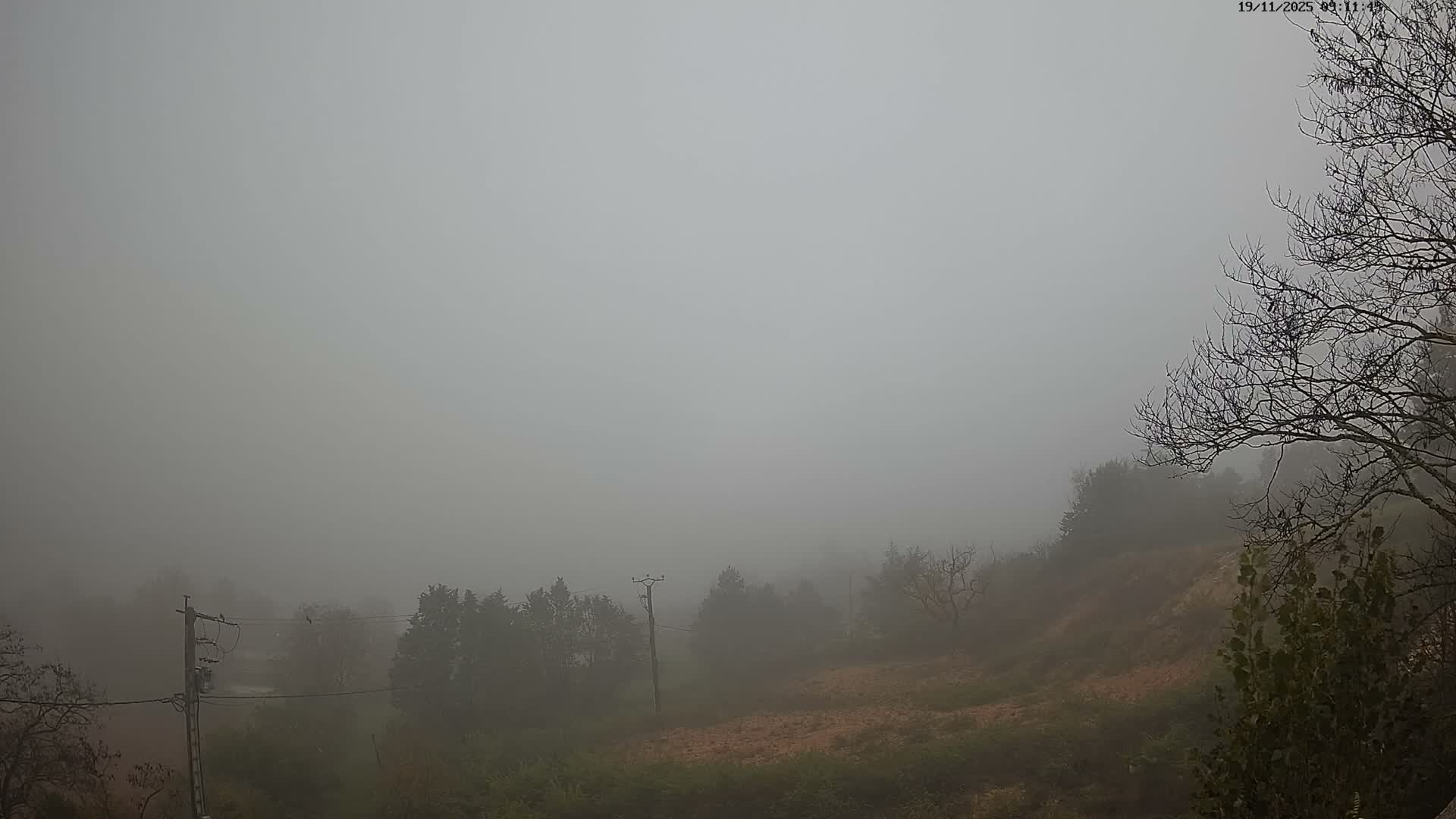 A dense fog blankets a rural landscape, partially obscuring hillsides, scattered trees, and a utility pole, with bare tree branches visible in the foreground.