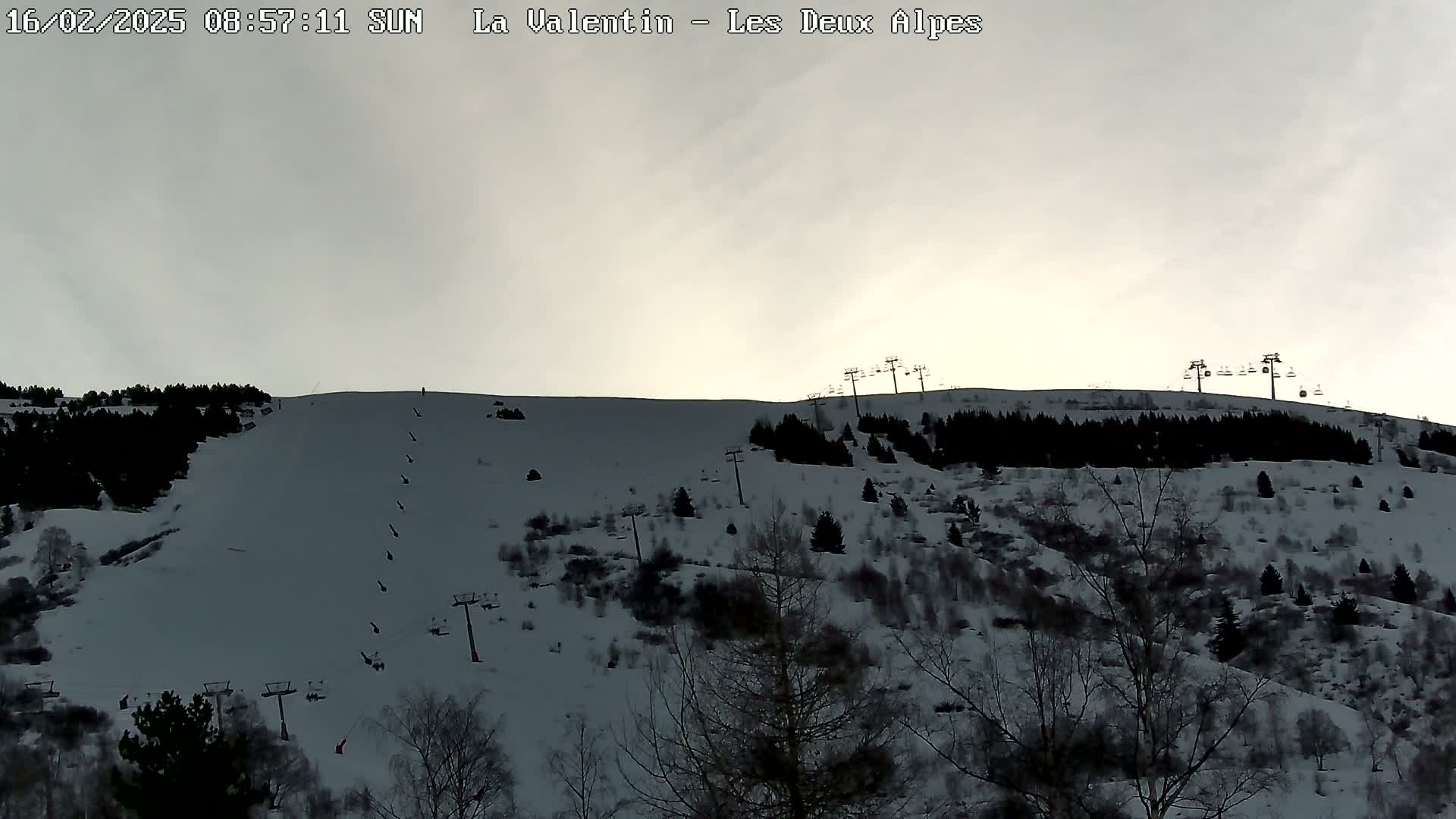 A snow-covered ski slope with several ski lifts and sparsely wooded areas under an overcast sky.