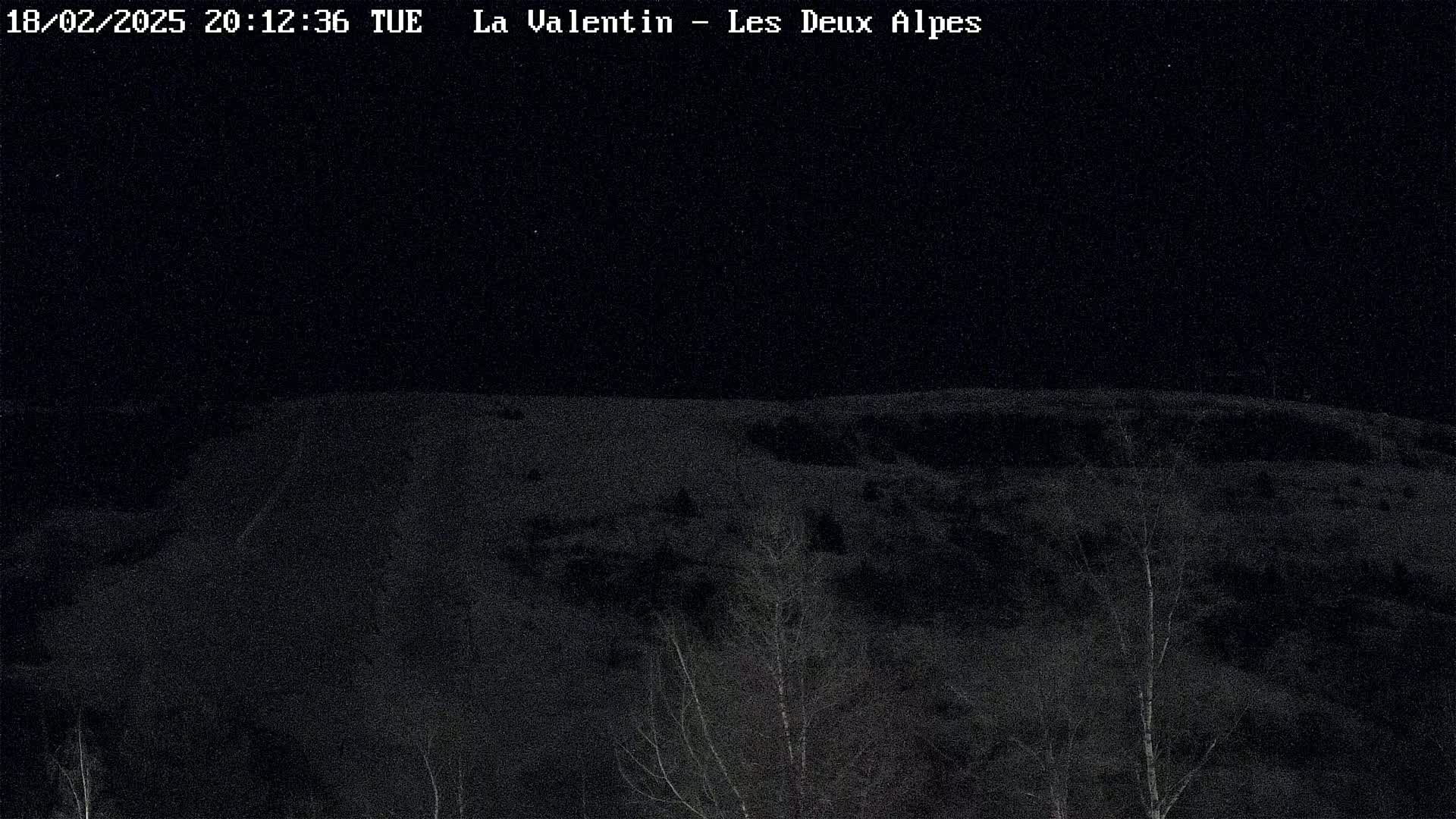 A dark, nighttime view of a snow-covered hillside with sparse, leafless trees in the foreground under a clear sky.