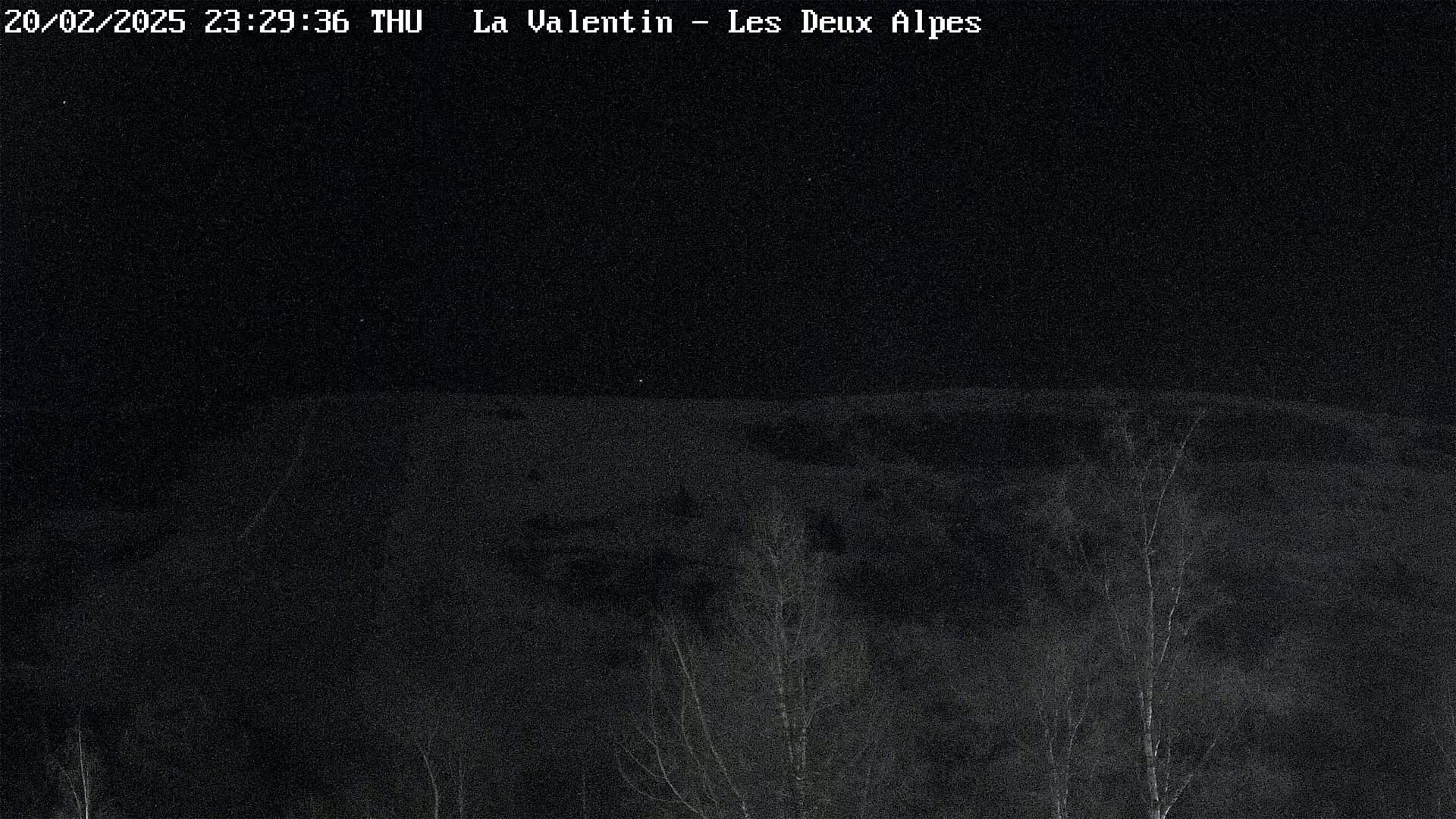 A nighttime view of a snow-covered hillside with sparse, leafless trees in the foreground under a dark sky.