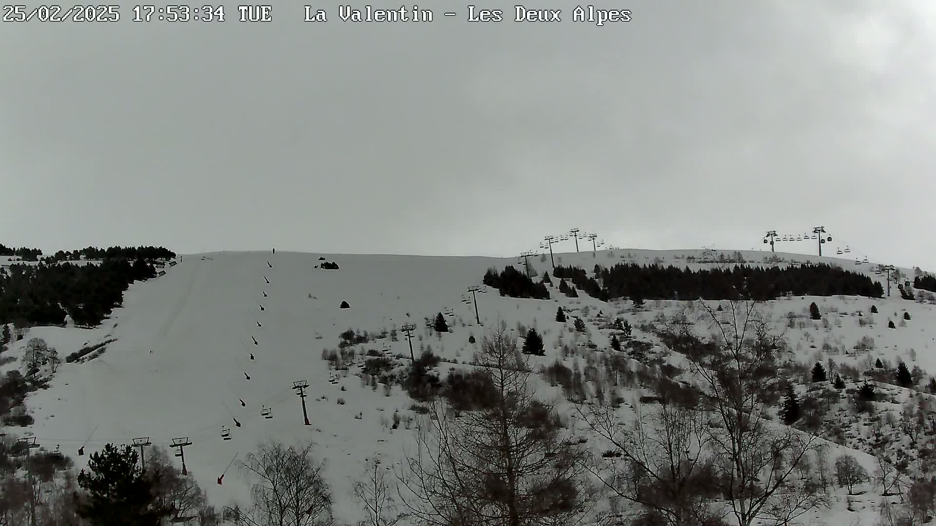 A snow-covered ski slope with several ski lifts and sparsely wooded areas under an overcast sky.