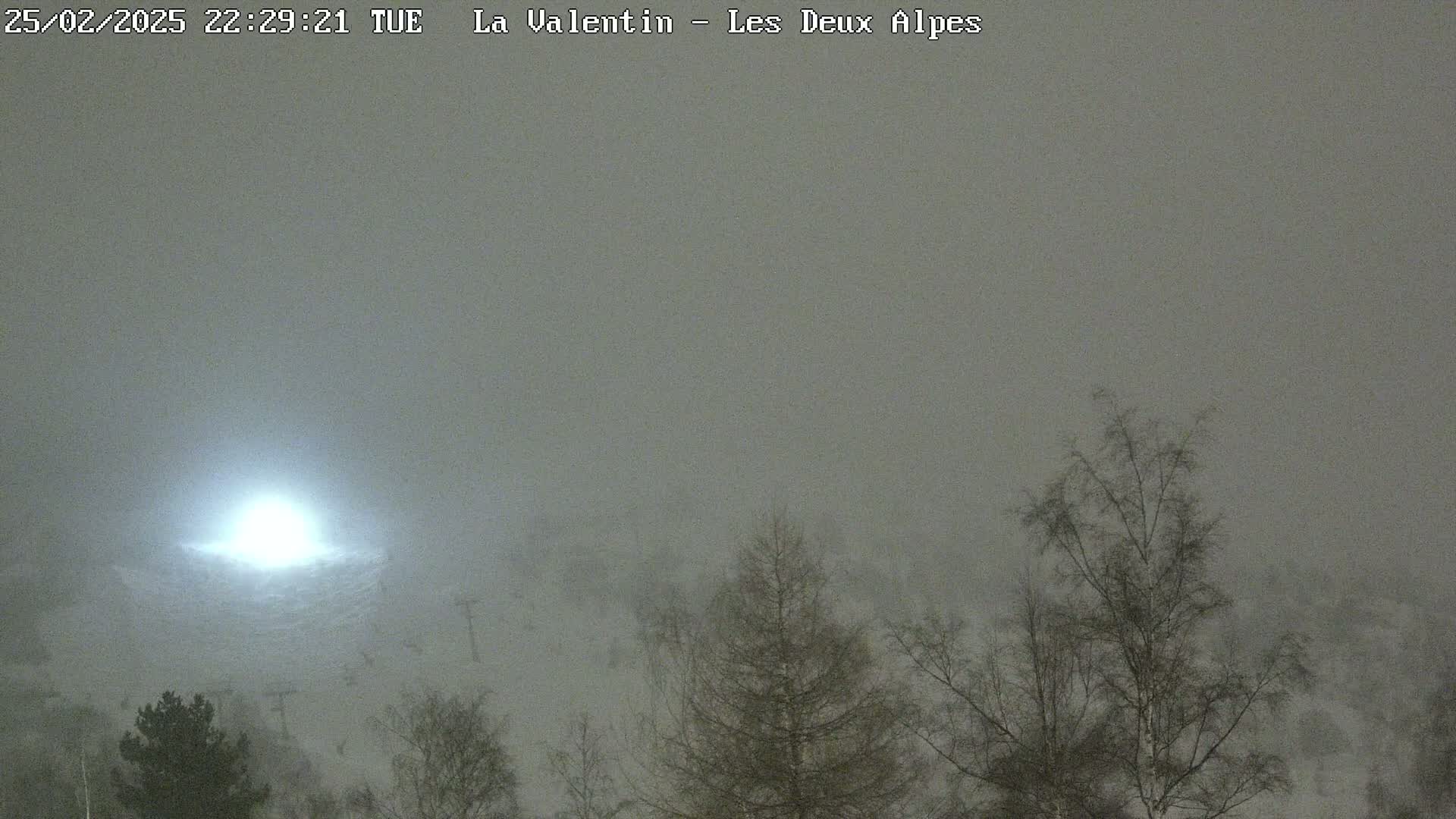 A bright light shines through heavy snow in a mountainous area at night, illuminating leafless trees and a snow-covered slope.
