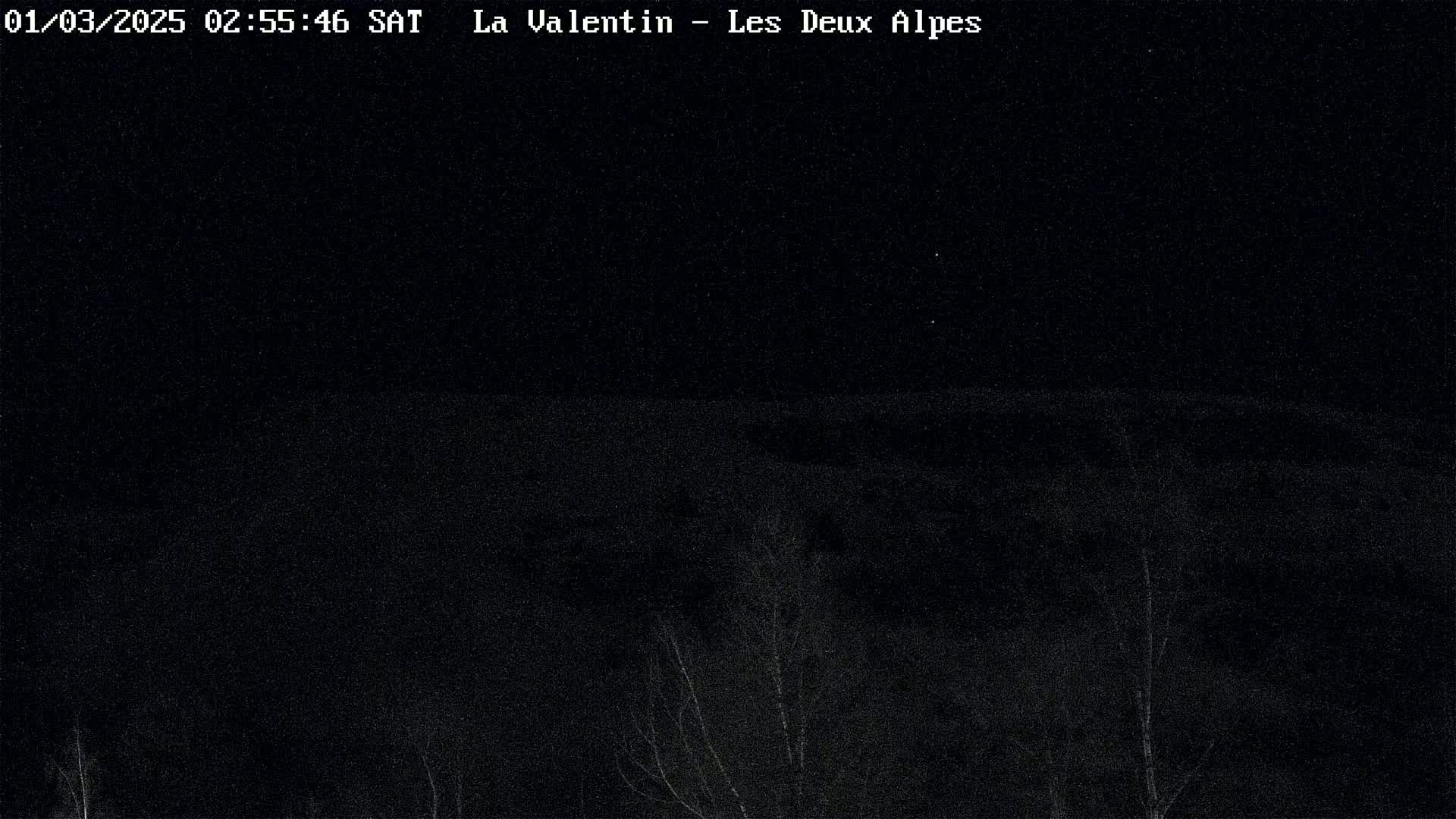 A nighttime, dark image shows a barely visible landscape with some spindly trees in the bottom portion.