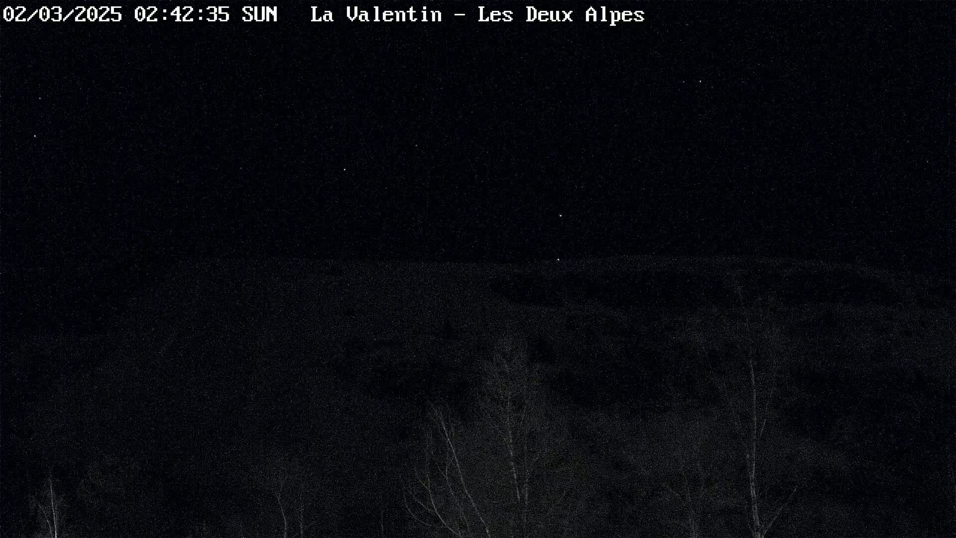 A nighttime, starlit view of bare, silhouetted trees against a dark, mountainous landscape.