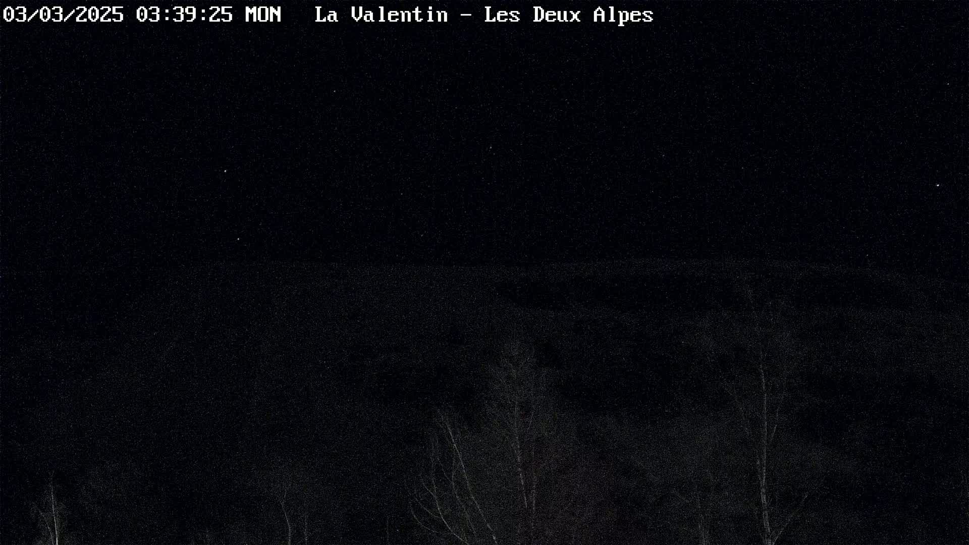 A nighttime, dark outdoor scene shows a few bare, silhouetted trees in the lower portion of the frame against a mostly clear, starry sky.