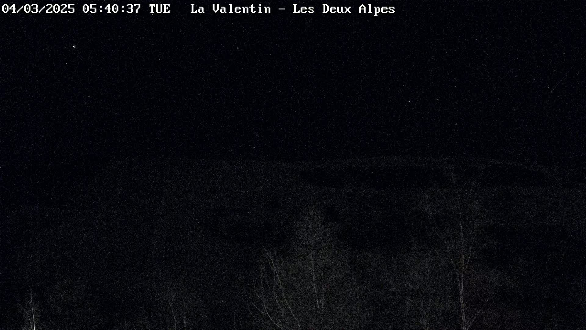 A nighttime long shot shows a dark sky speckled with stars above a dark, sparsely wooded area.