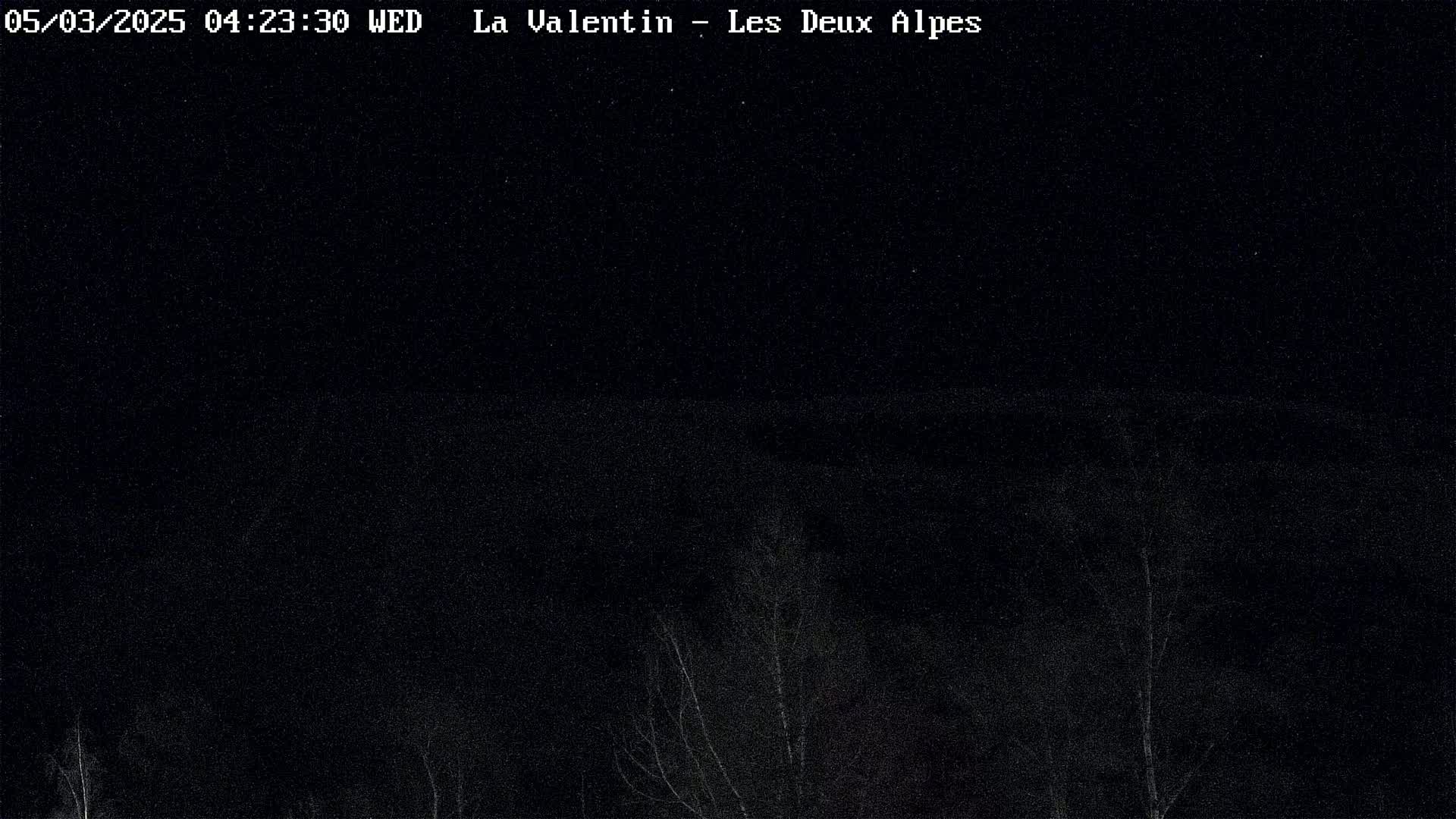 A nighttime view shows dark, leafless trees against a black sky speckled with stars.